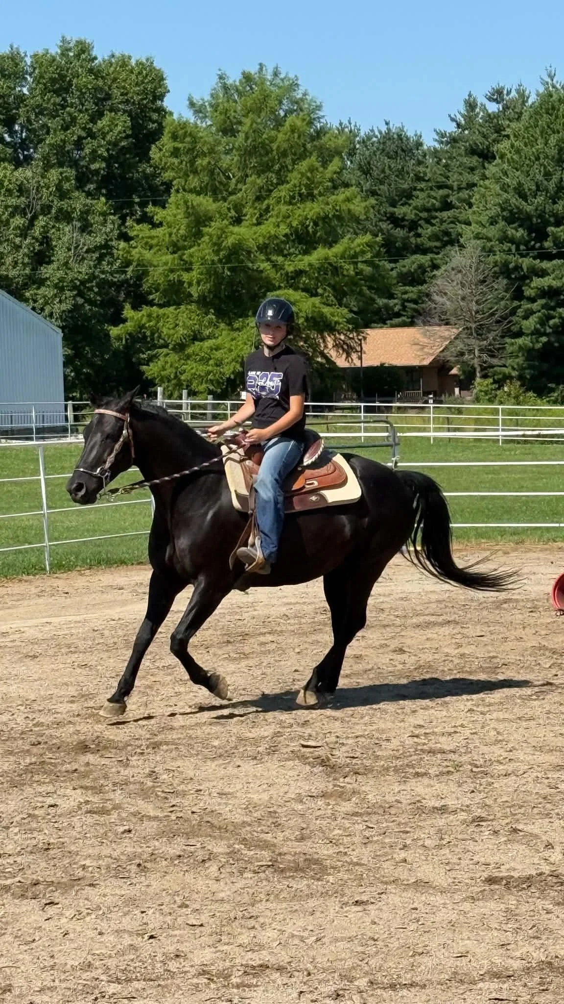 A person riding a black horse on a dirt riding arena, wearing a black helmet and a black shirt, with greenery and trees in the background under a blue sky.
