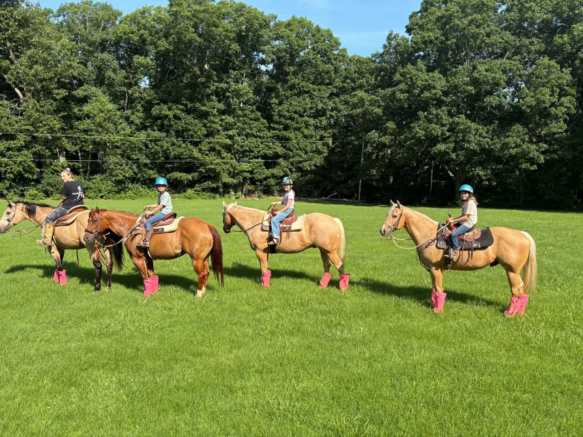 Four children riding horses in a grassy field with a dense green forest in the background on a sunny day.