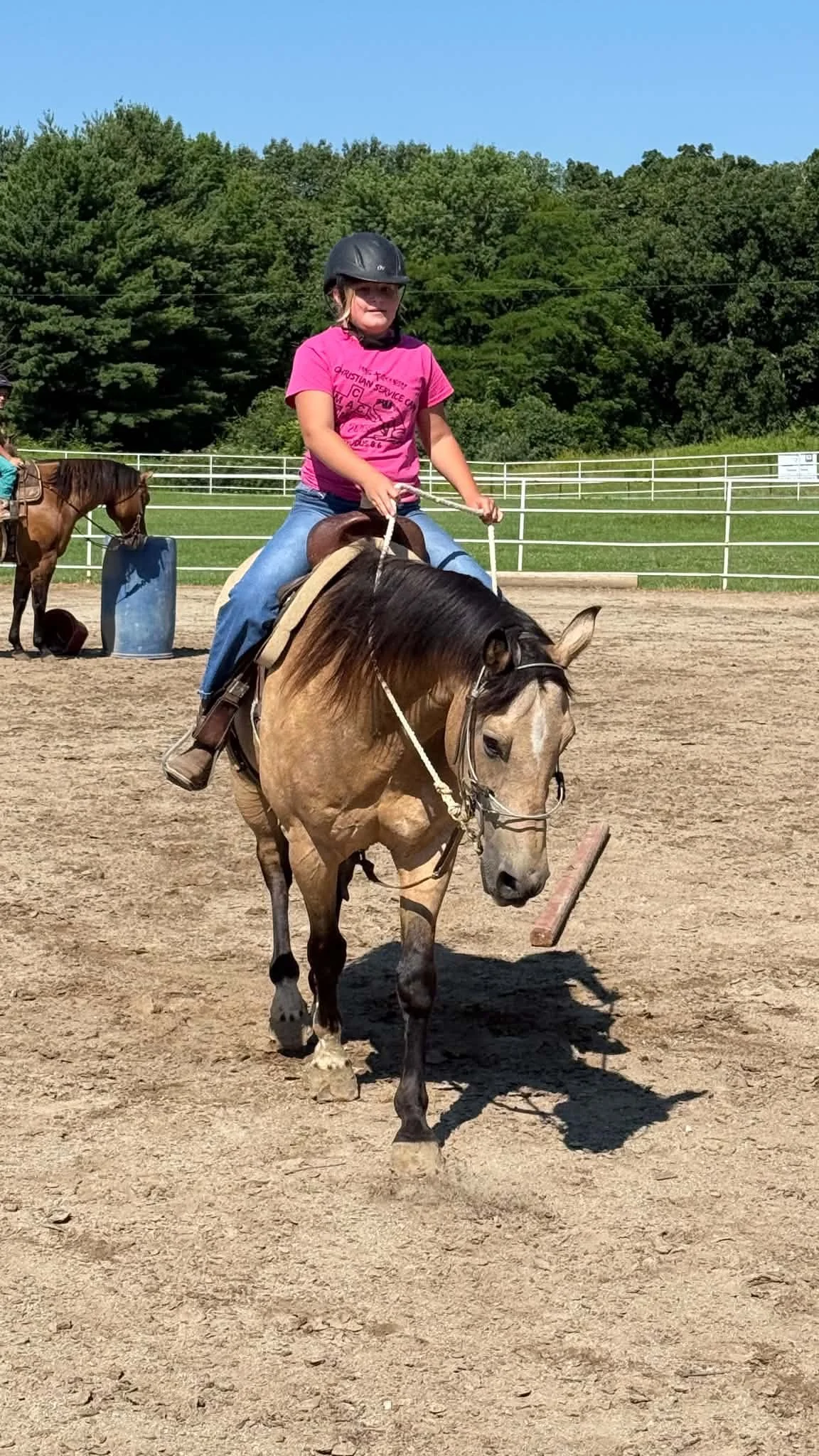 A young girl wearing a pink shirt and a black helmet riding a light brown horse in an outdoor riding arena with green trees and a blue sky in the background.