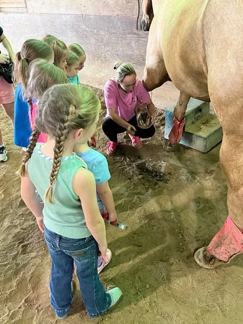 Children watch a woman milk a horse in a barn with a wooden ramp, a large horse, and muddy ground.