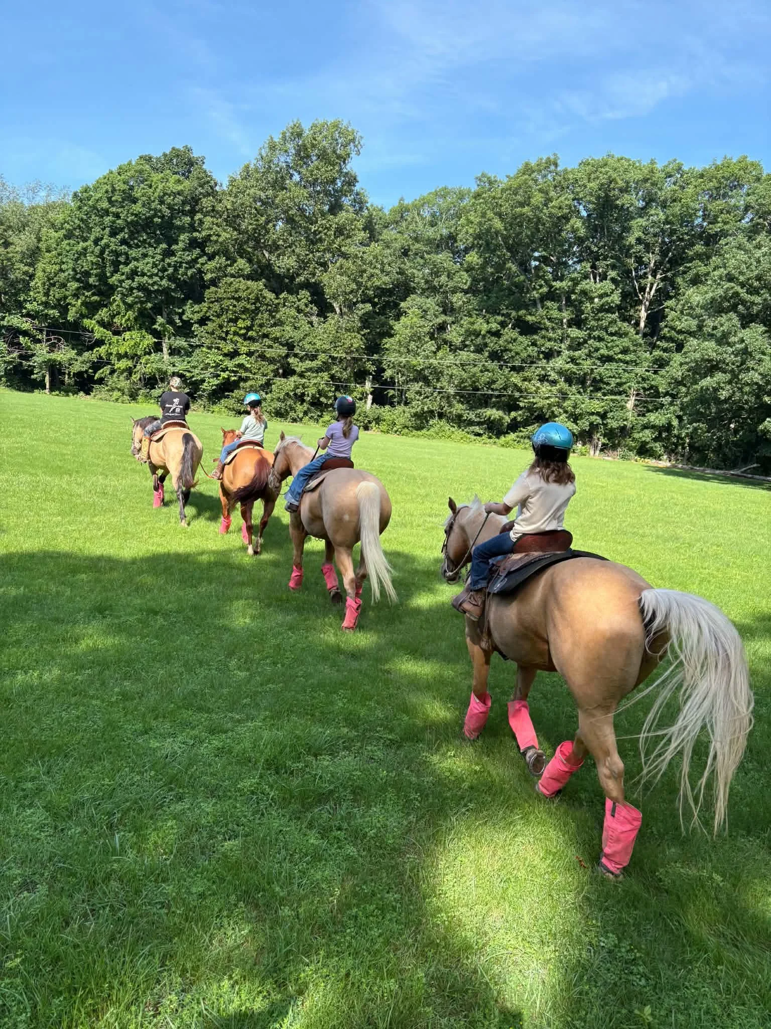 Four children riding horses in a green field with tall trees in the background on a sunny day.