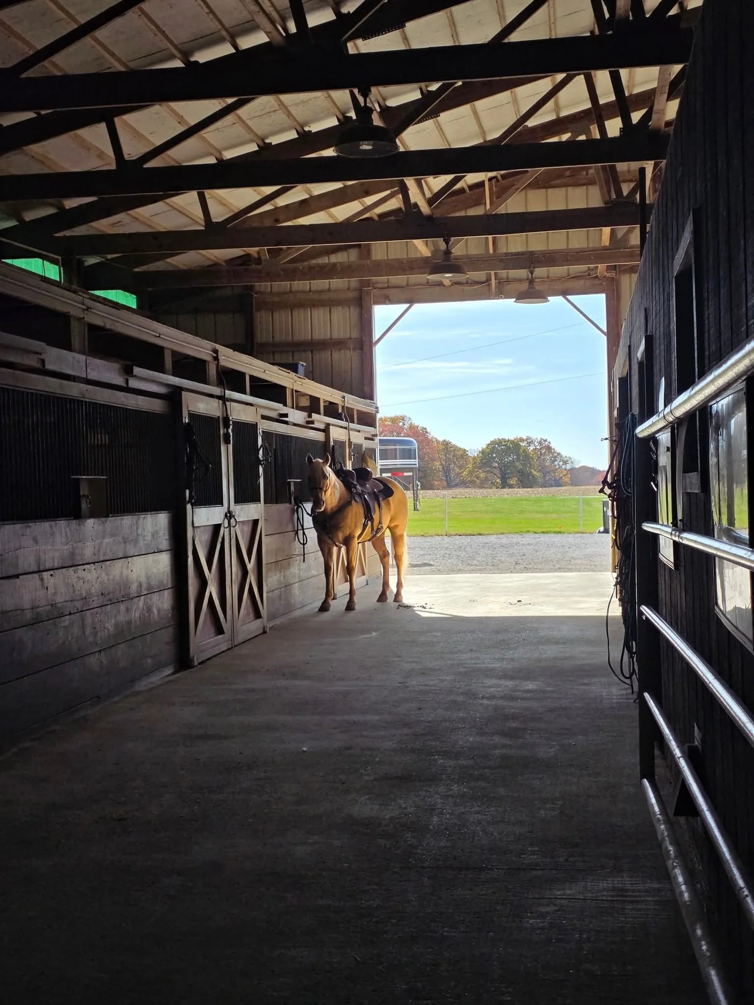 Inside a horse barn with horses in stalls, looking towards the open doorway with sunset sky and trees outside.