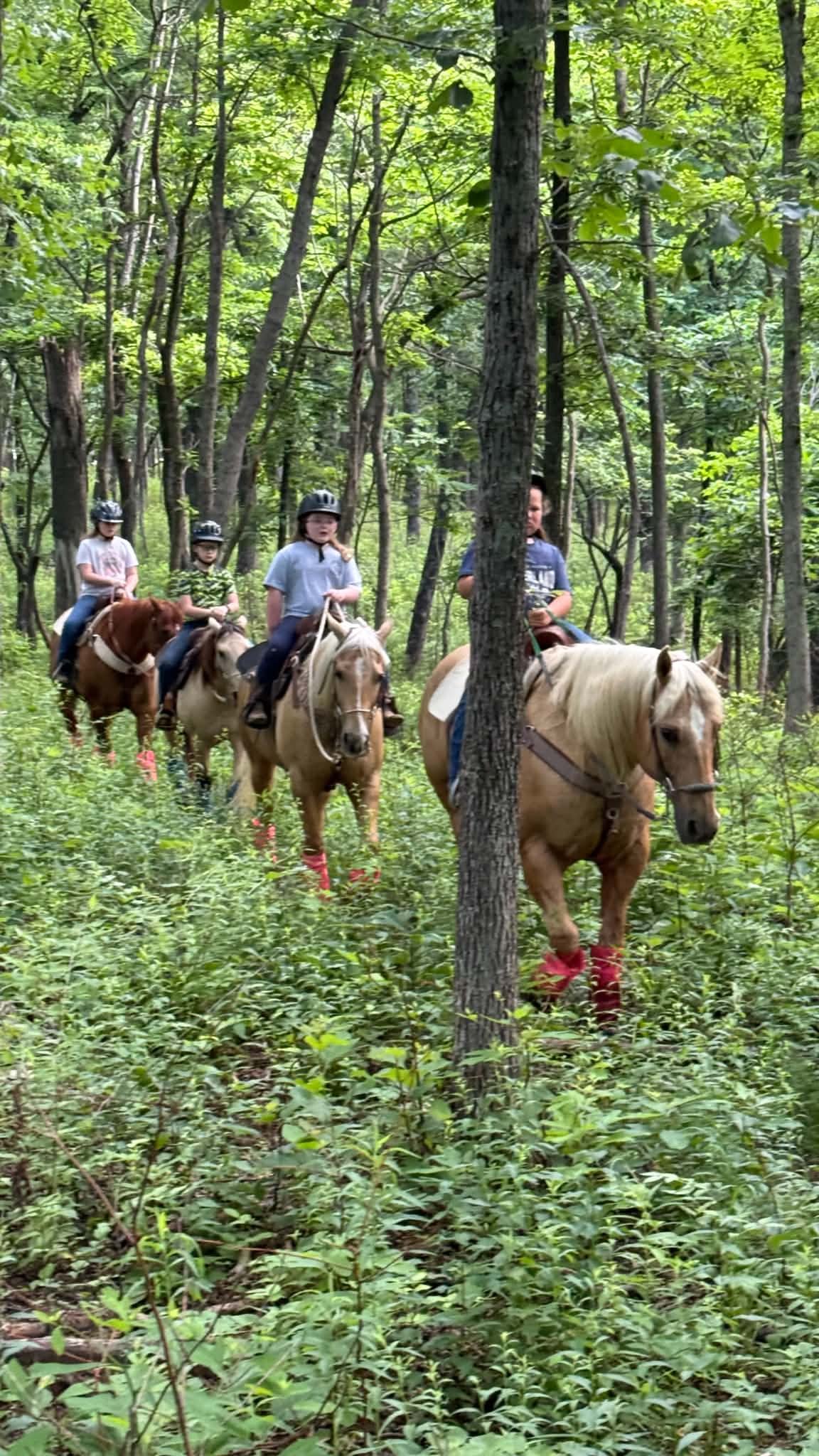 Four children wearing helmets and riding horses through a dense green forest.