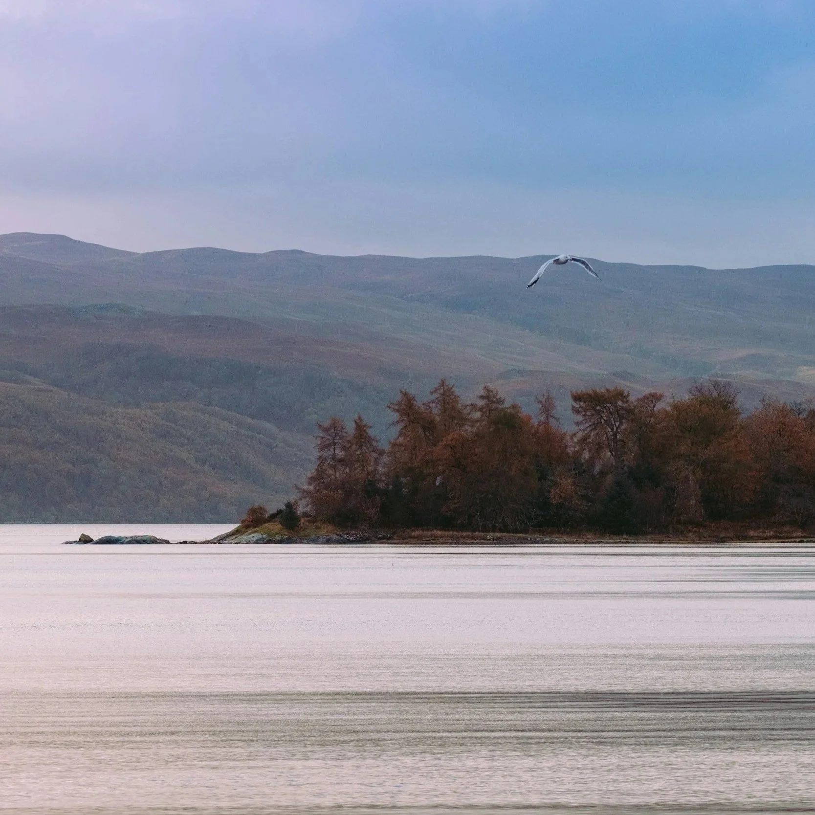 Loch Fyne view across the water