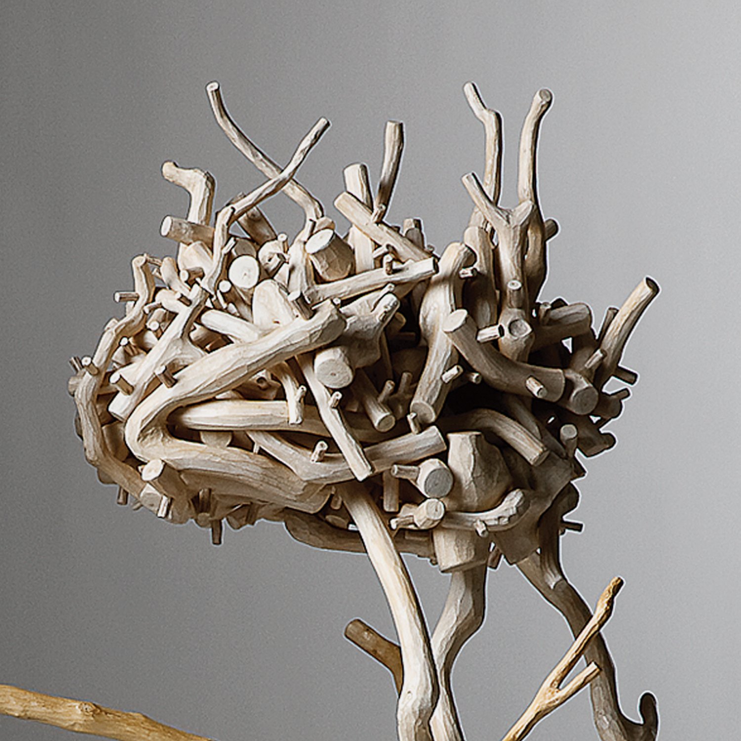 Man-Brain-Woman-Brain_Detail_002s.jpg