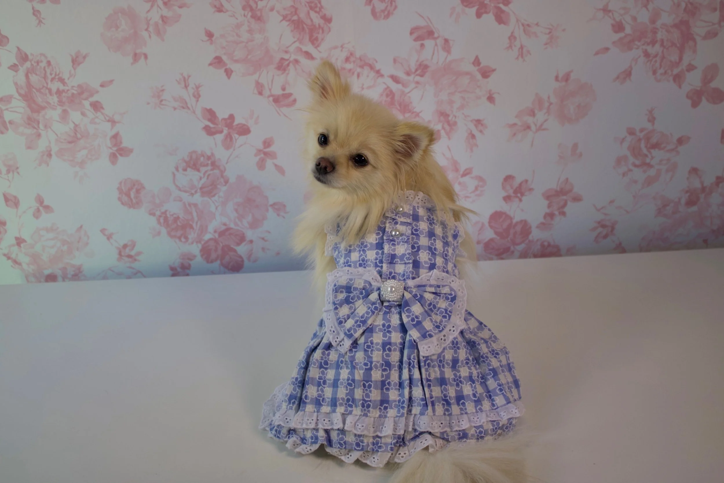 Baby Doll Dress