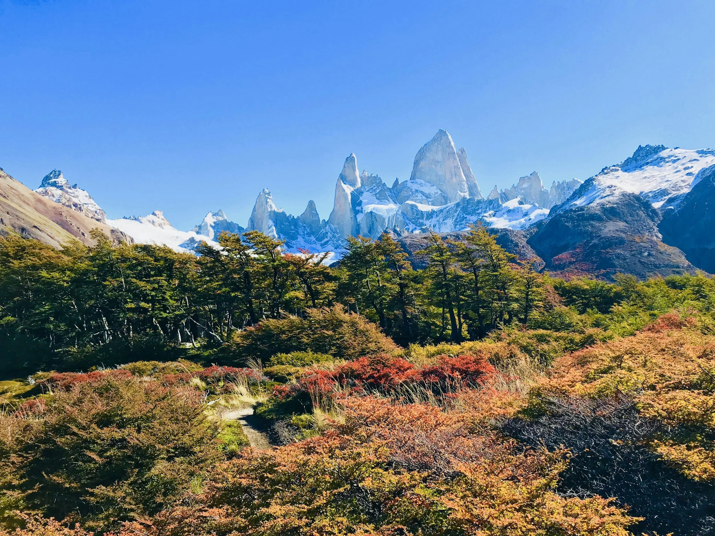 Snow-capped mountain peaks under a clear blue sky with green and red foliage at the base.