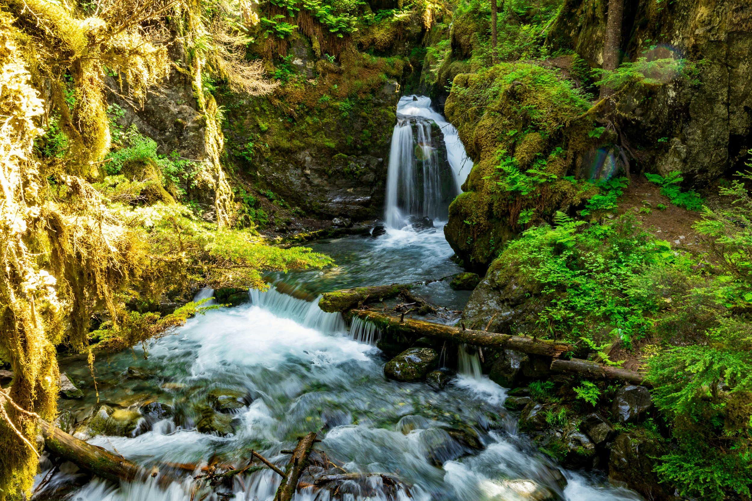 A waterfall cascading down moss-covered rocks in a lush green forest