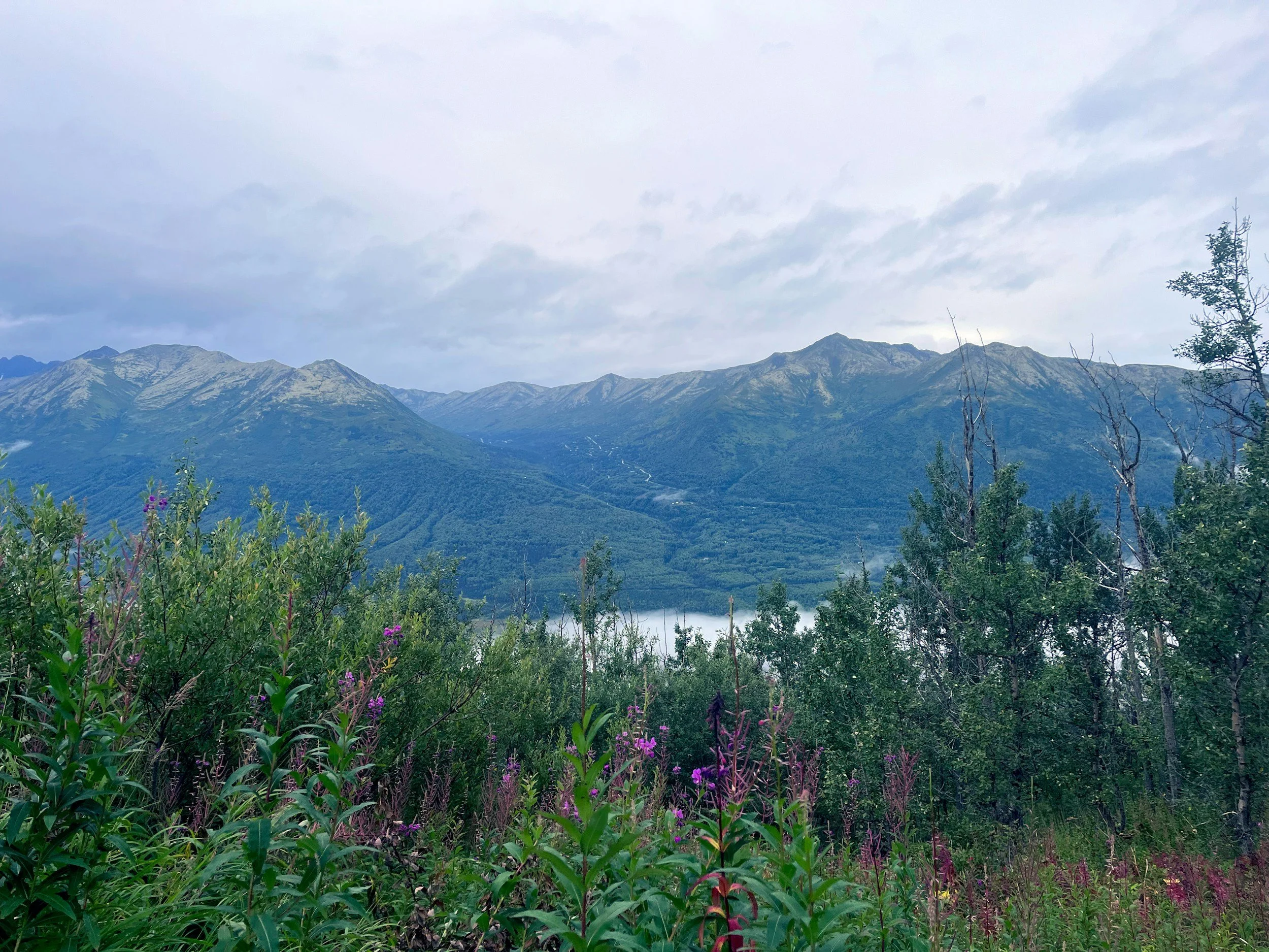 Landscape of mountain range with greenery and wildflowers in the foreground, cloudy sky above.