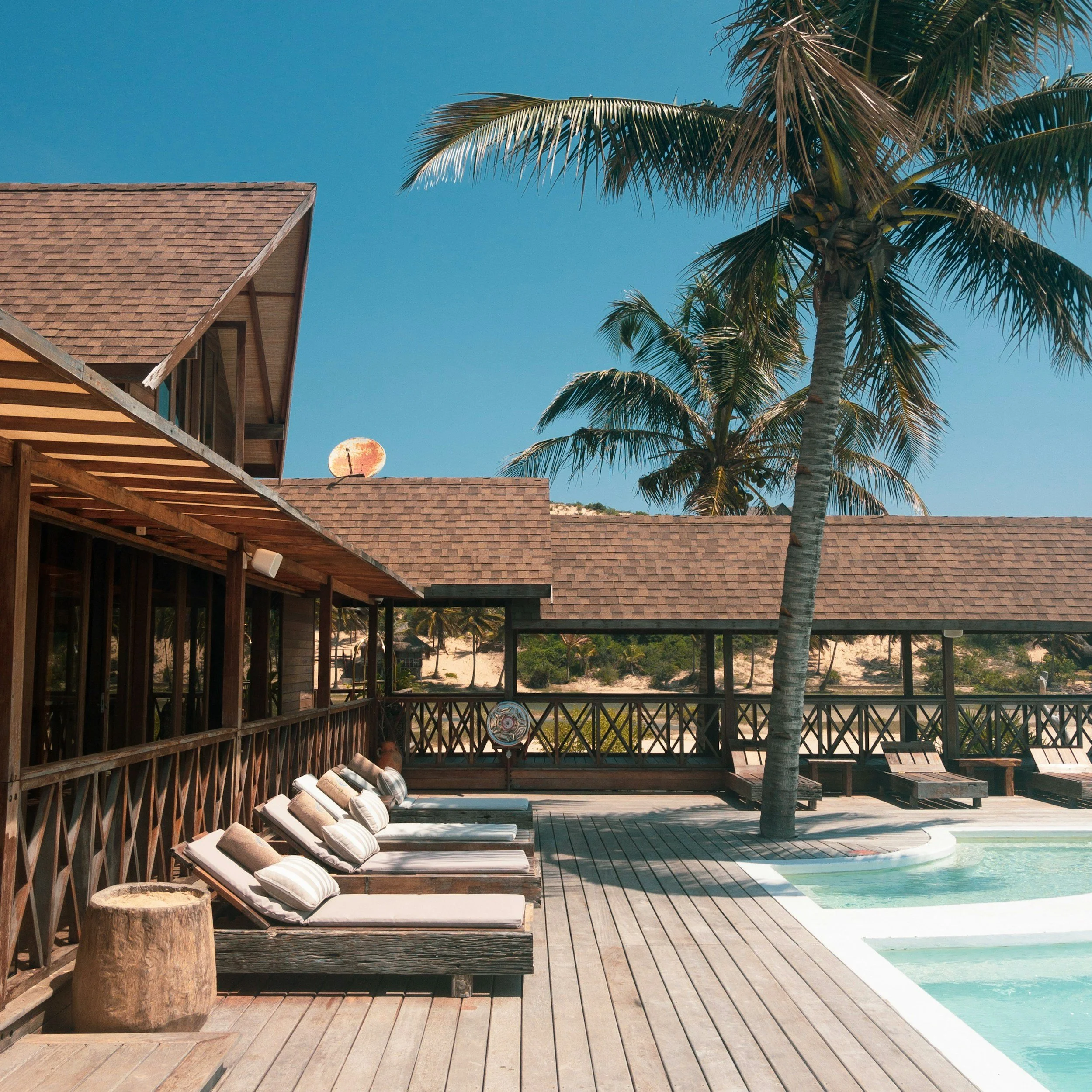 A backyard pool area with wooden decking, lounge chairs with striped cushions, a large palm tree, and a house with a sloped shingle roof under a clear blue sky.