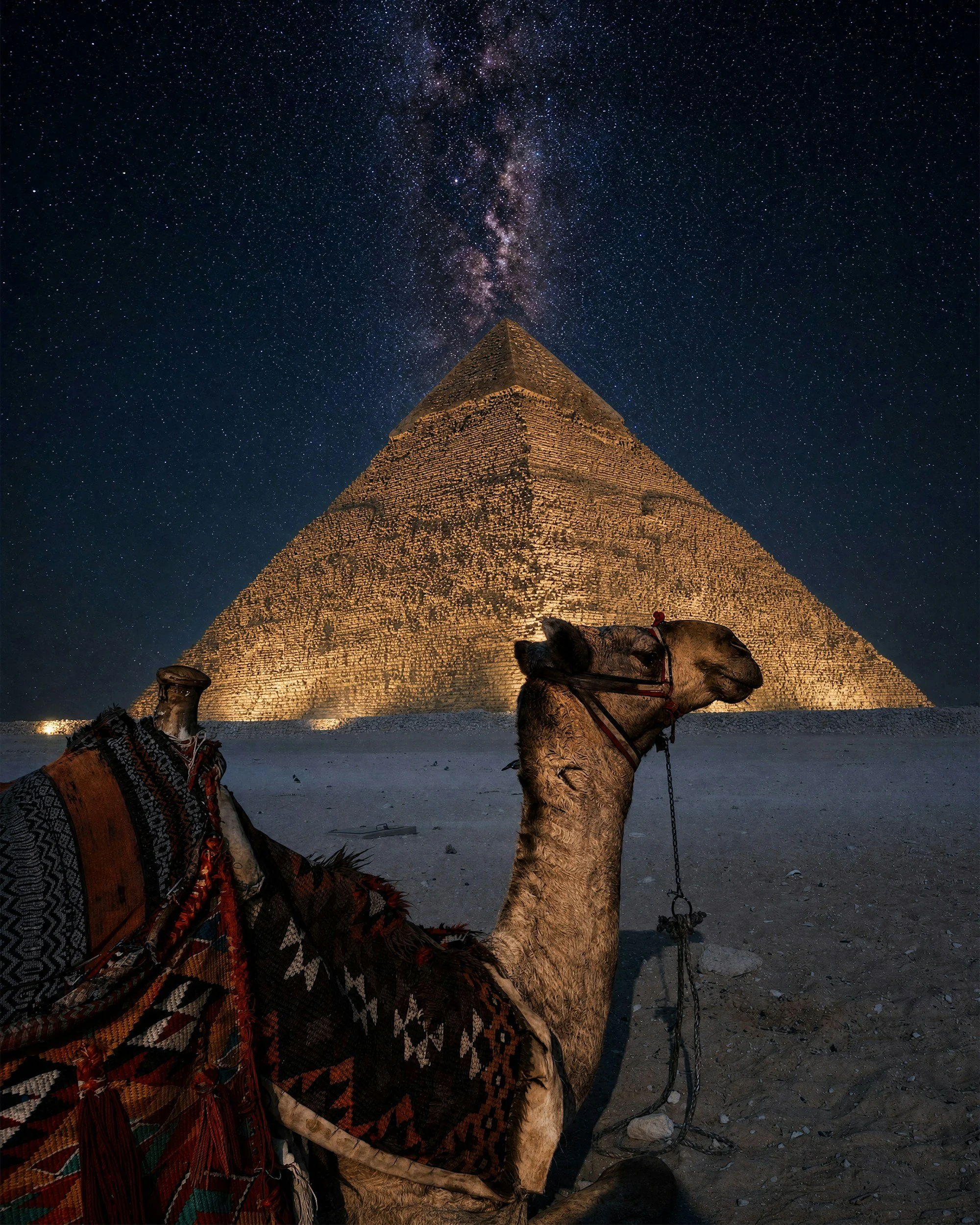 A camel decorated with colorful woven textiles and saddle, sitting on desert ground at night with the Milky Way galaxy visible in the starry sky behind an ancient pyramid.