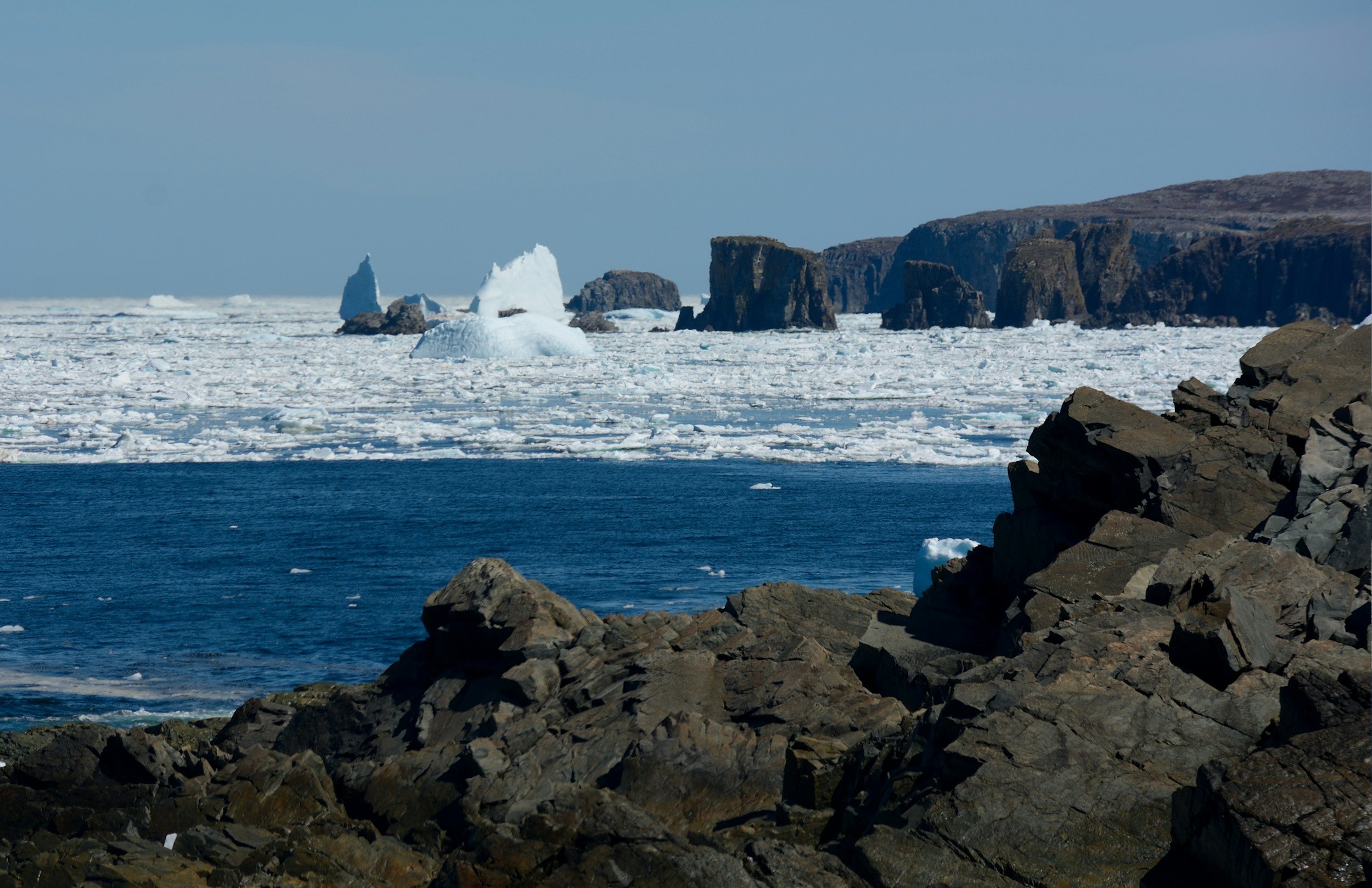Towering iceberg drifting past the rocky coastline of Twillingate along Newfoundland's Iceberg Alley