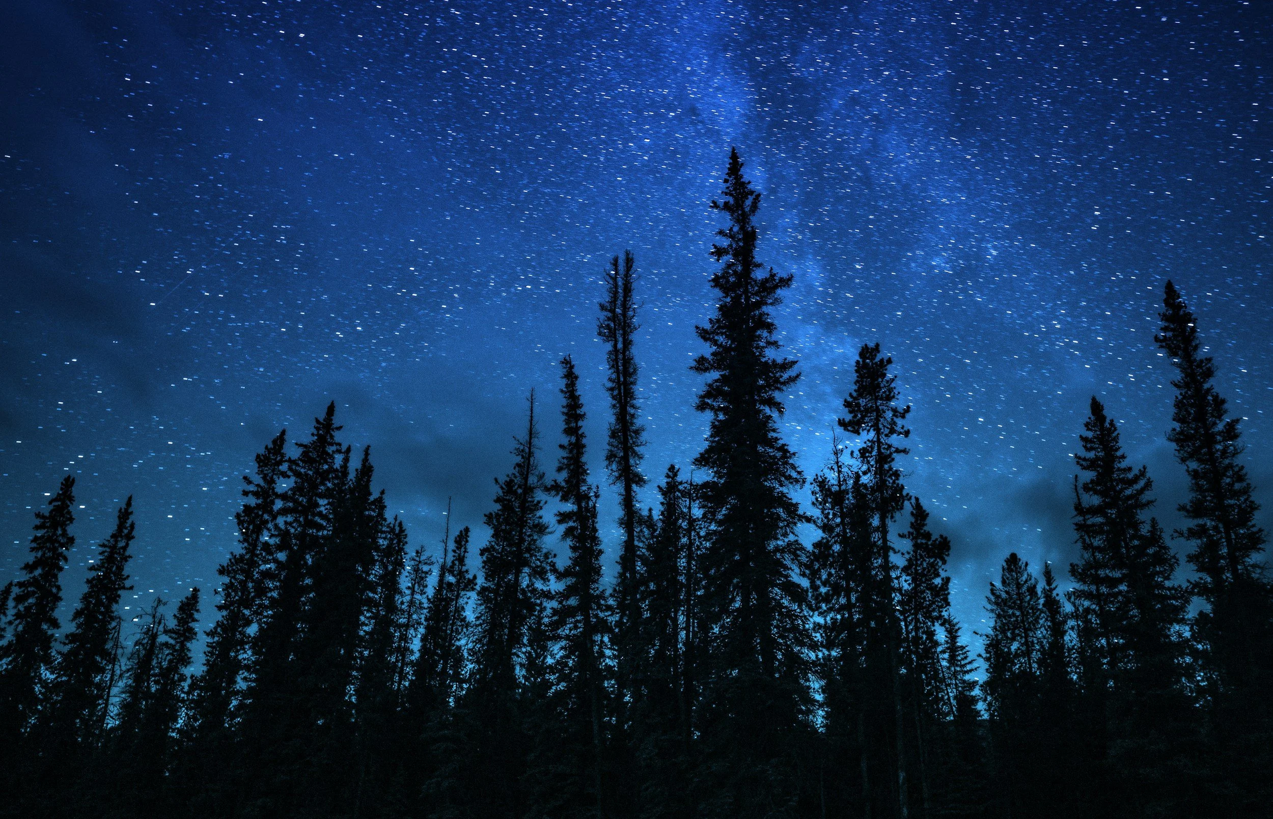Milky Way arching above silhouetted evergreens in the Jasper Dark Sky Preserve, Alberta
