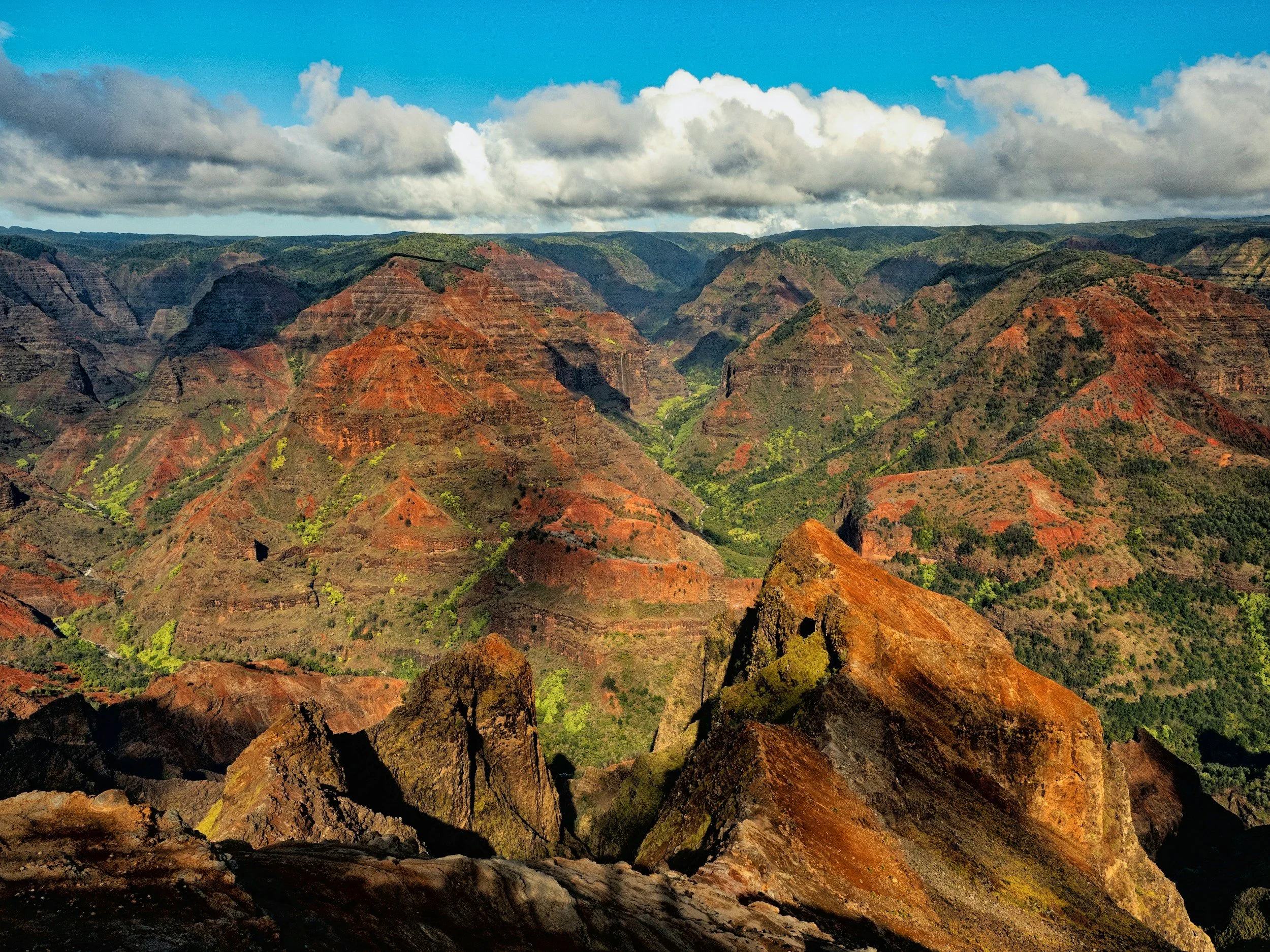 Aerial view of the red and green cliffs of Waimea Canyon on Kaua'i, Hawai'i