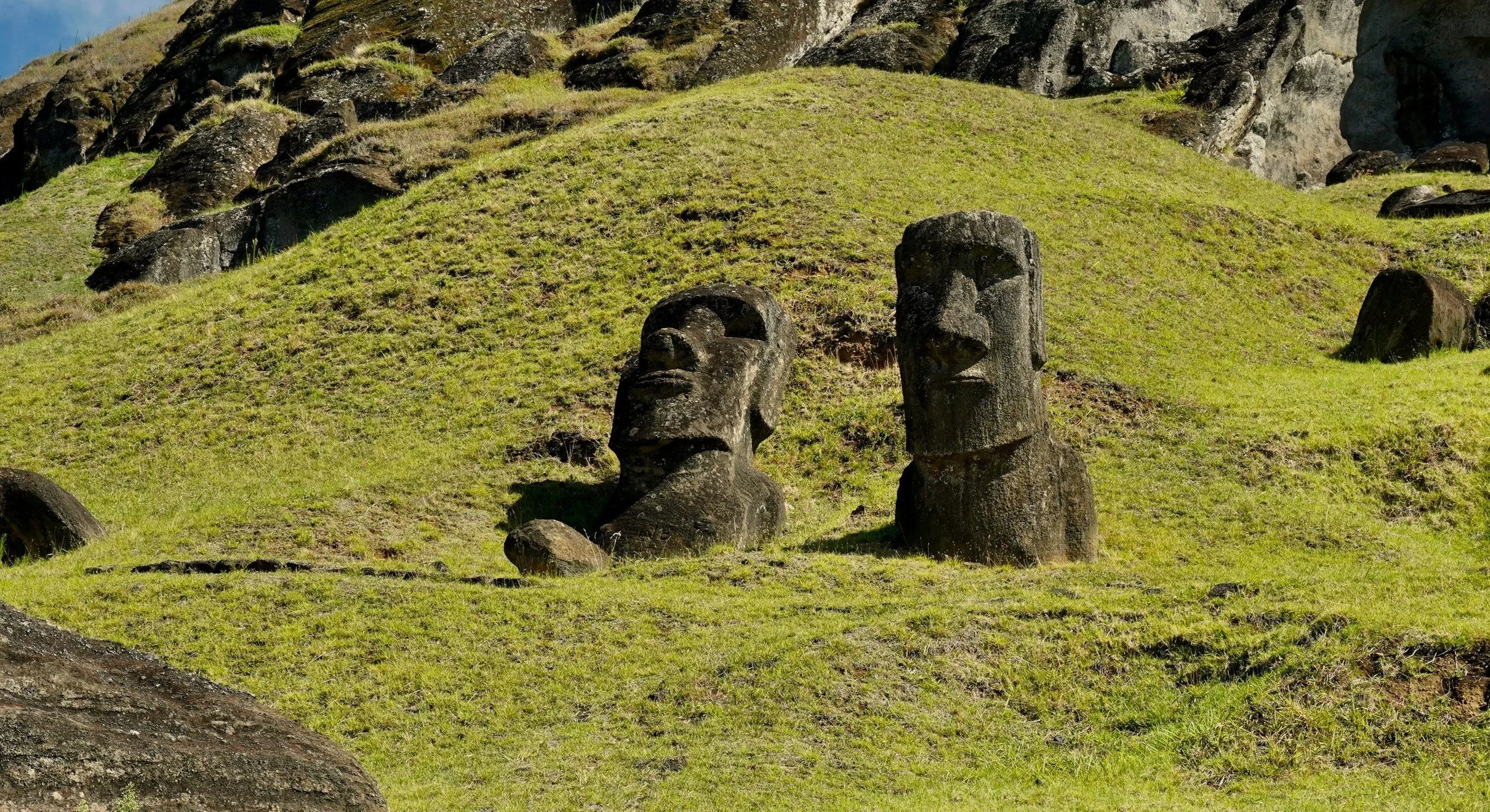 Two moai heads emerging from the grassy slopes of the Rano Raraku quarry on Rapa Nui.