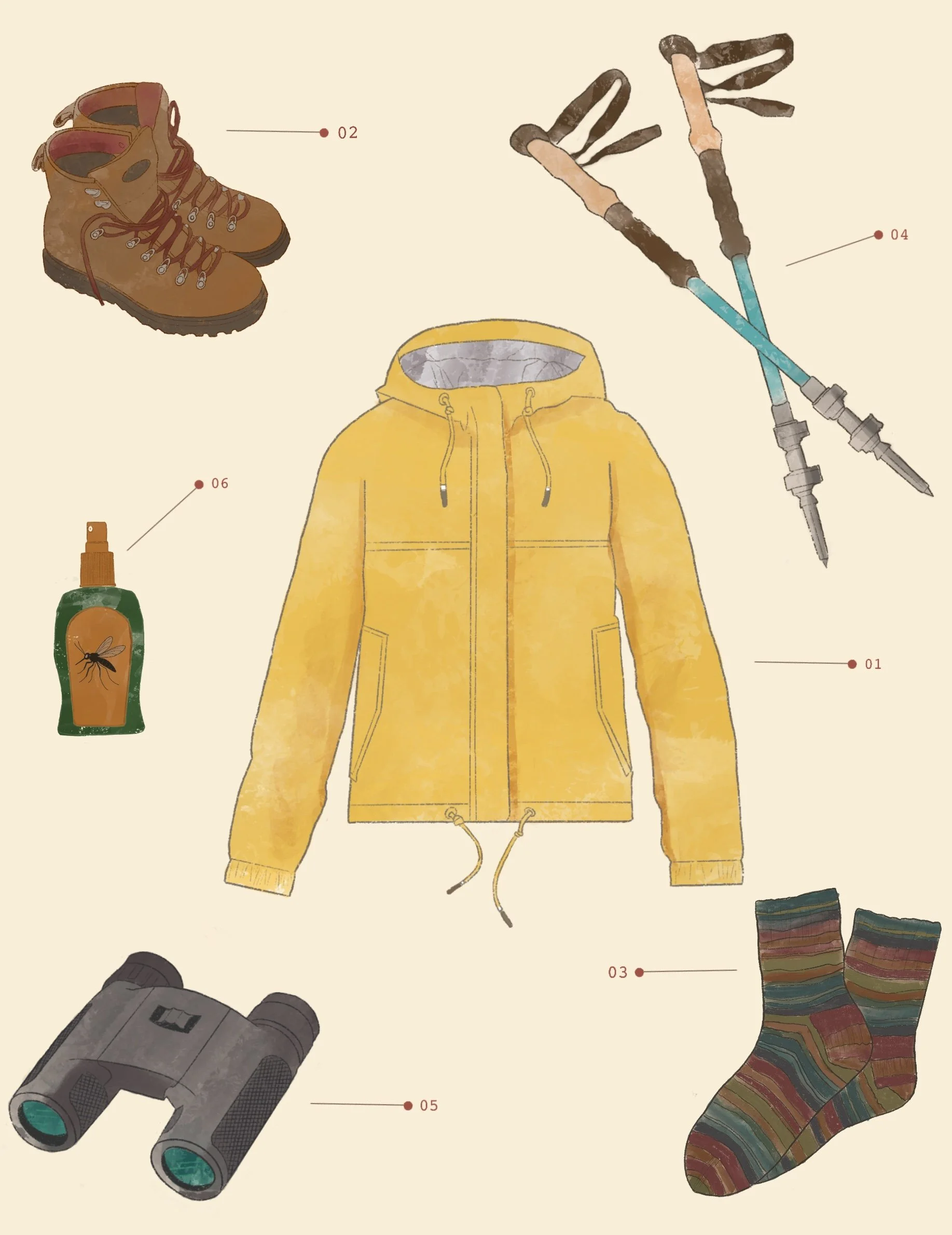 Gear.JPG