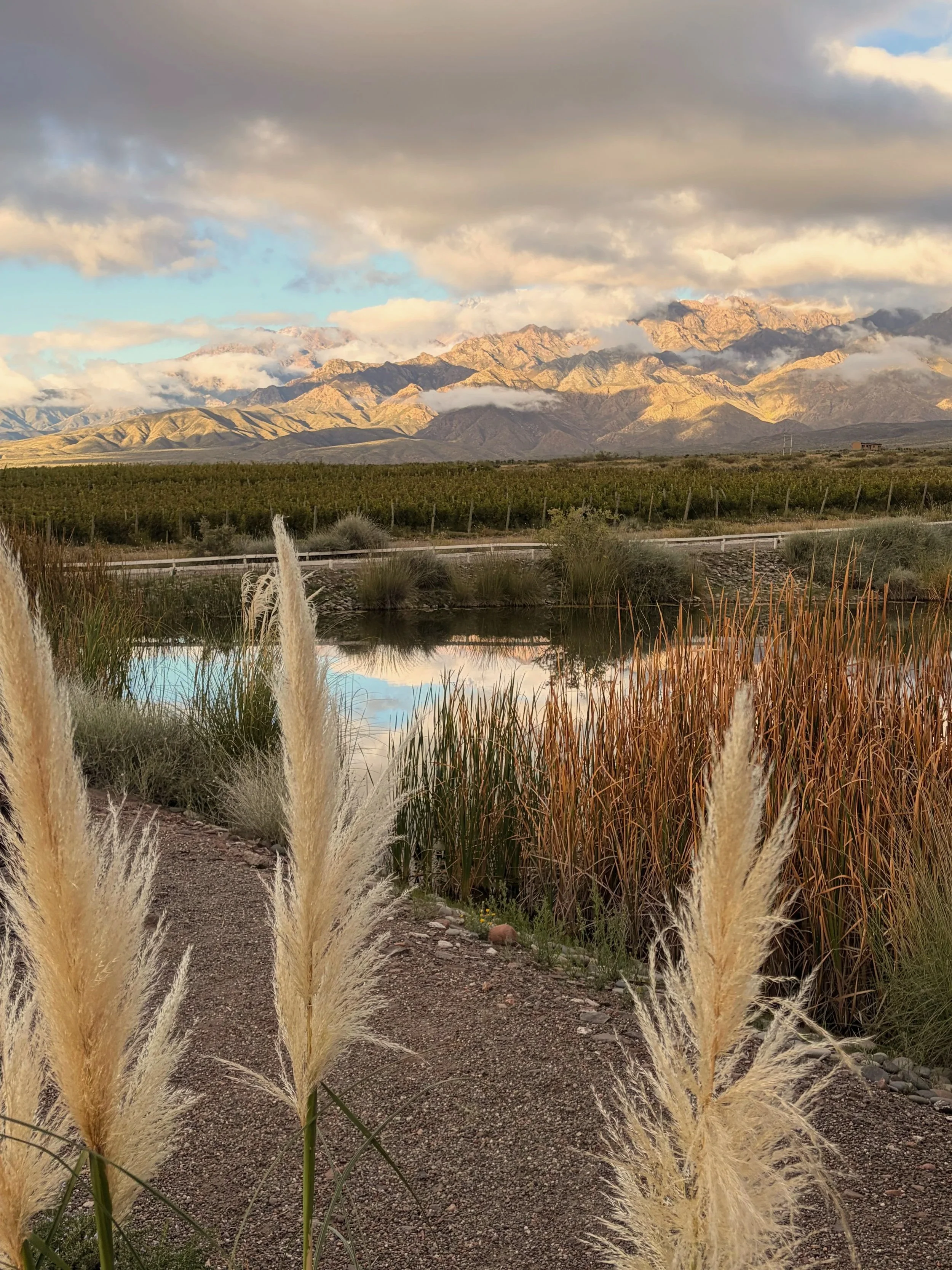 Golden light on the Andes rising above vineyards outside Mendoza, with clouds drifting over the peaks.