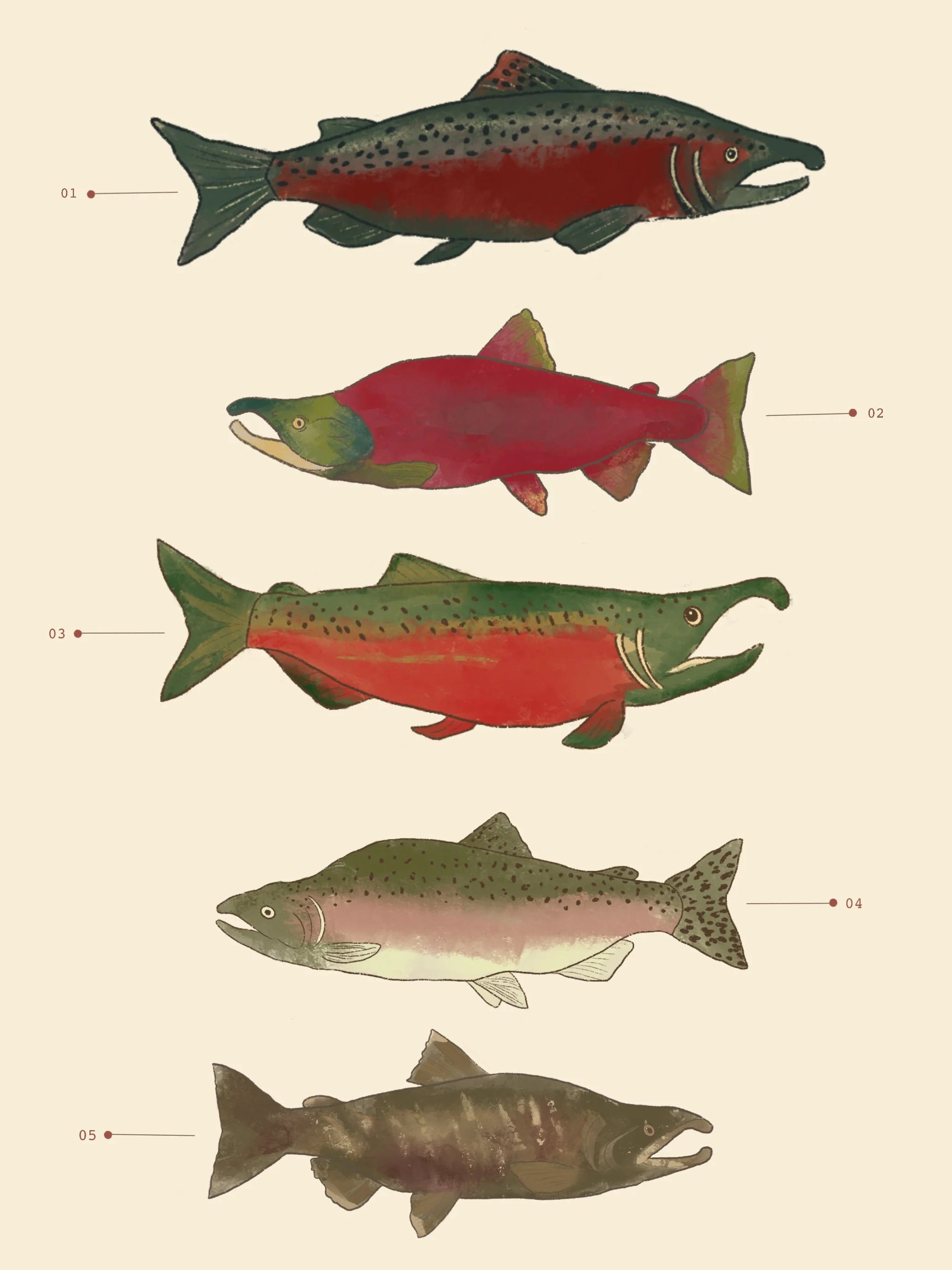Salmon.jpg