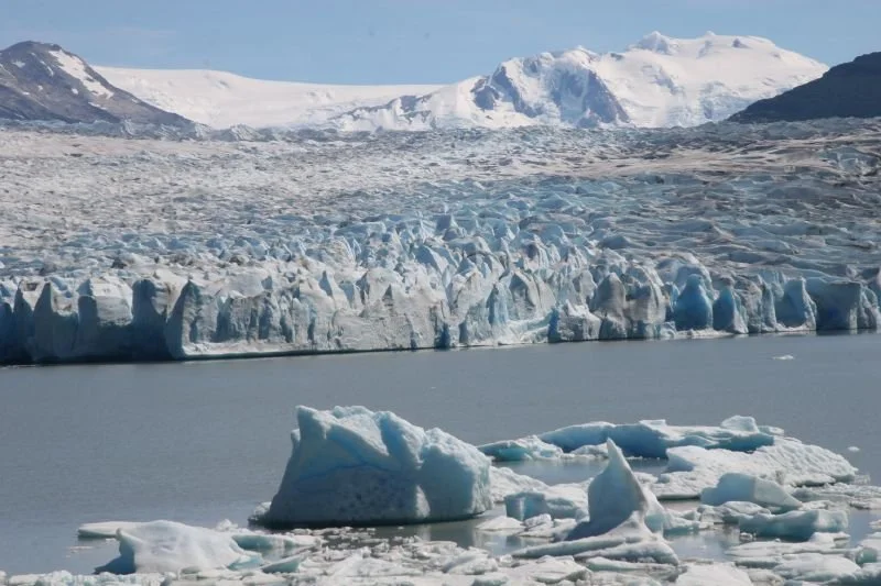Blue-tinged icebergs floating in front of the jagged face of Grey Glacier beneath snowy peaks.