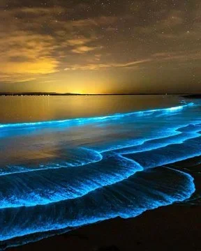 Blue bioluminescent glow swirling around a kayak paddle at night in Paquera Bay, Costa Rica