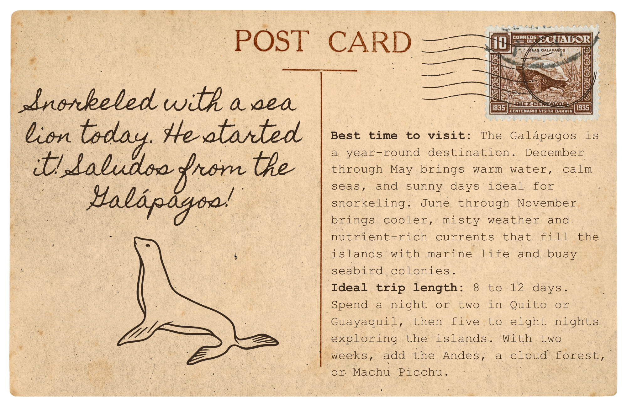 The back of a vintage postcard with a handwritten note reading "Snorkeled with a sea lion today. He started it! Saludos from the Galapagos!" beside a sketch of a sea lion, an old Ecuador postage stamp, and typed notes on the best time to visit.