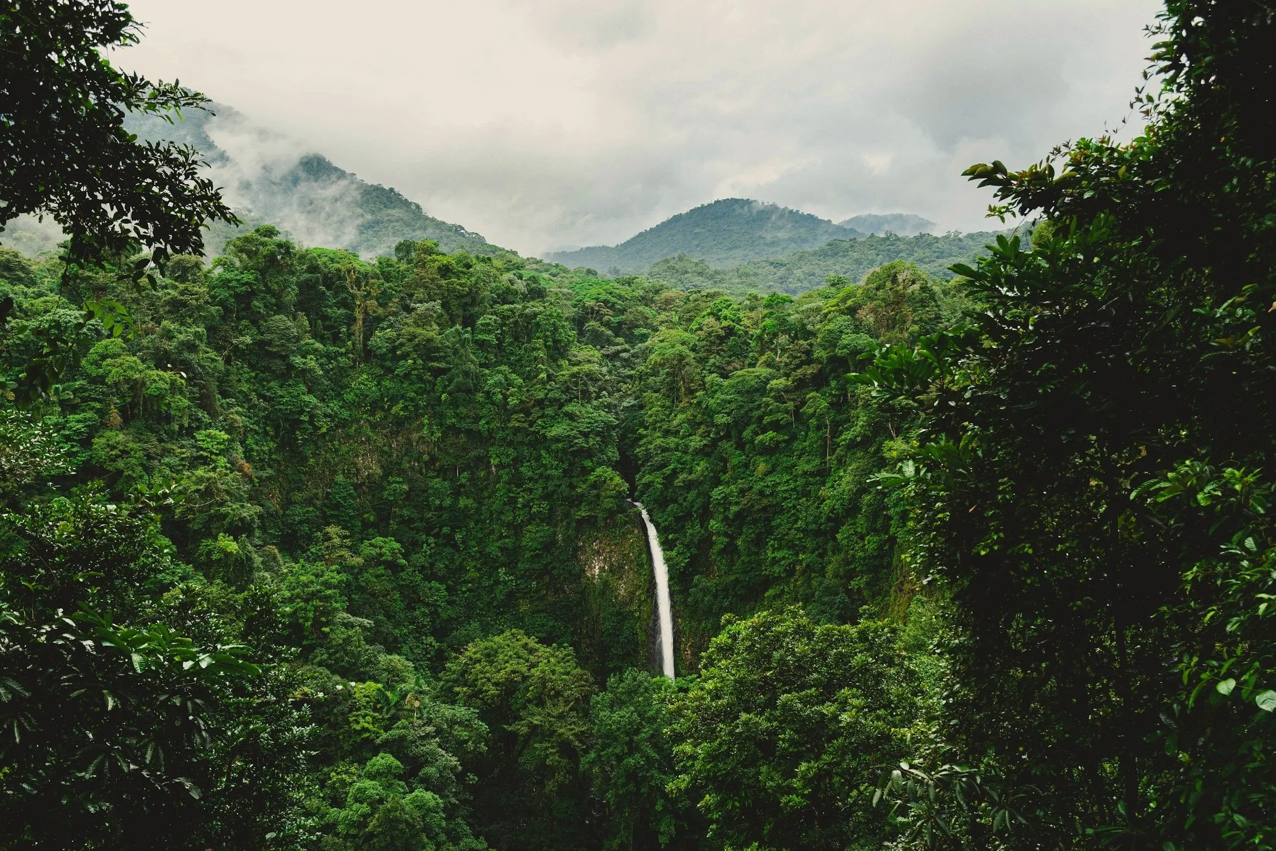 Mist drifting over rainforest-covered mountains with a waterfall hidden in the valley, northern Costa Rica