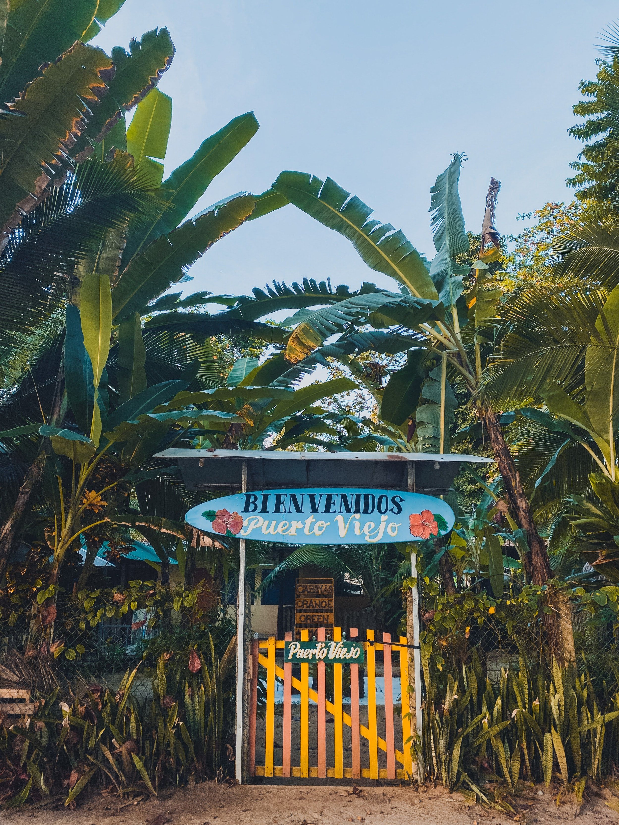 Colorful wooden building along the palm-lined coast of Puerto Viejo, Costa Rica