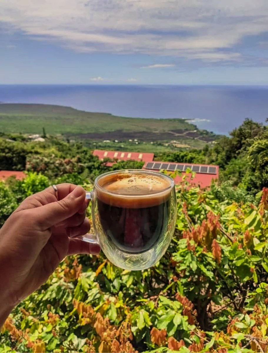 Cup of Kona coffee on a clifftop with coffee fields and the ocean beyond, Hawai'i