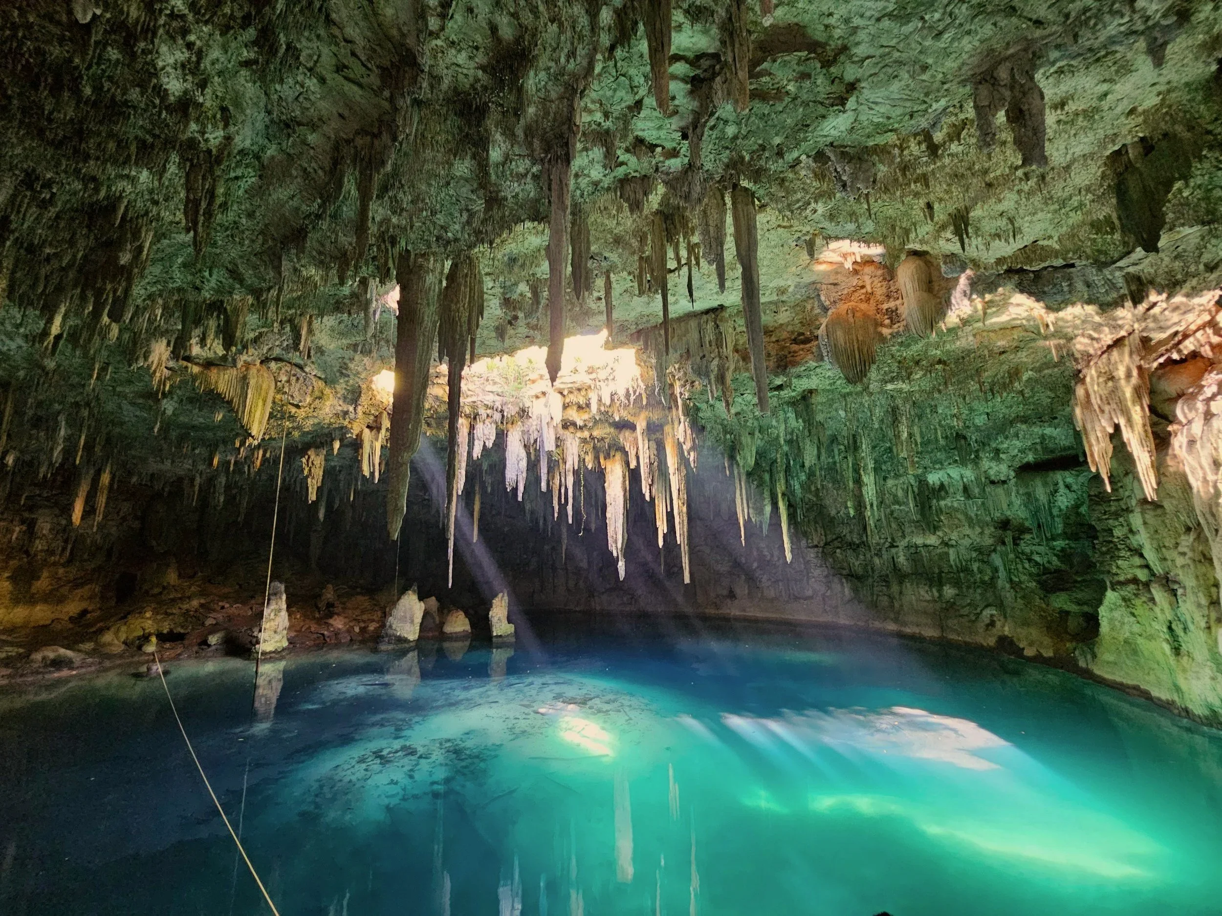 A water level view of a cenote in the Yucatán