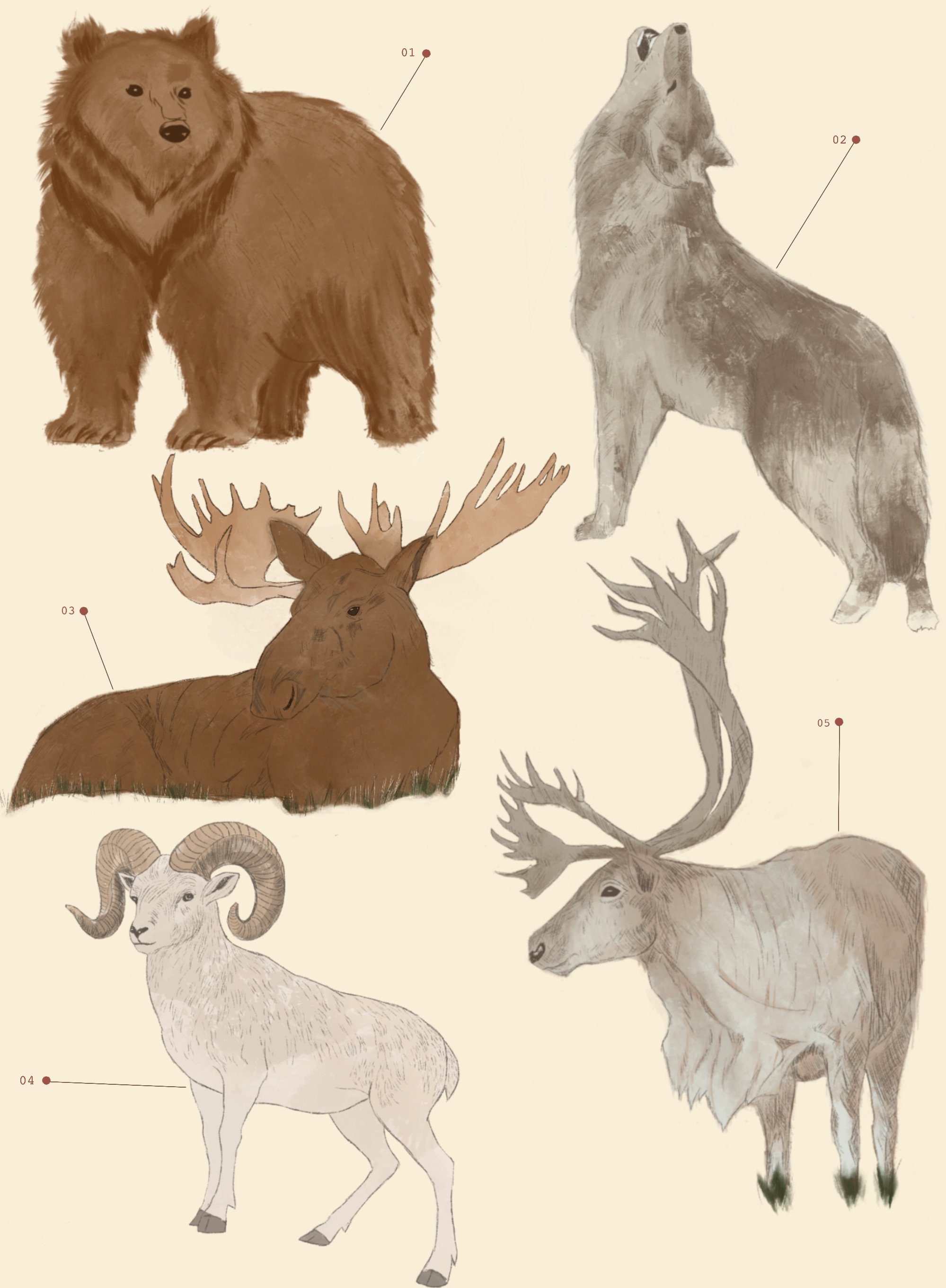 Alaska Big Five.jpg