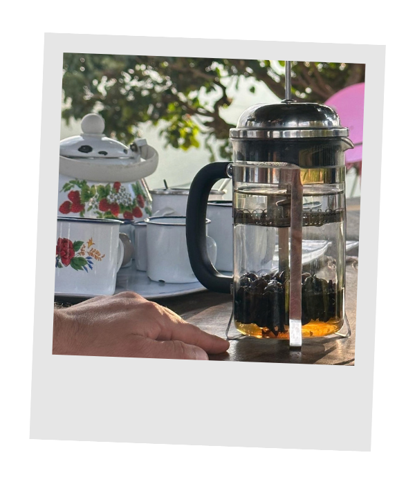 French press of fresh Costa Rican coffee beside scattered coffee beans on a wooden table