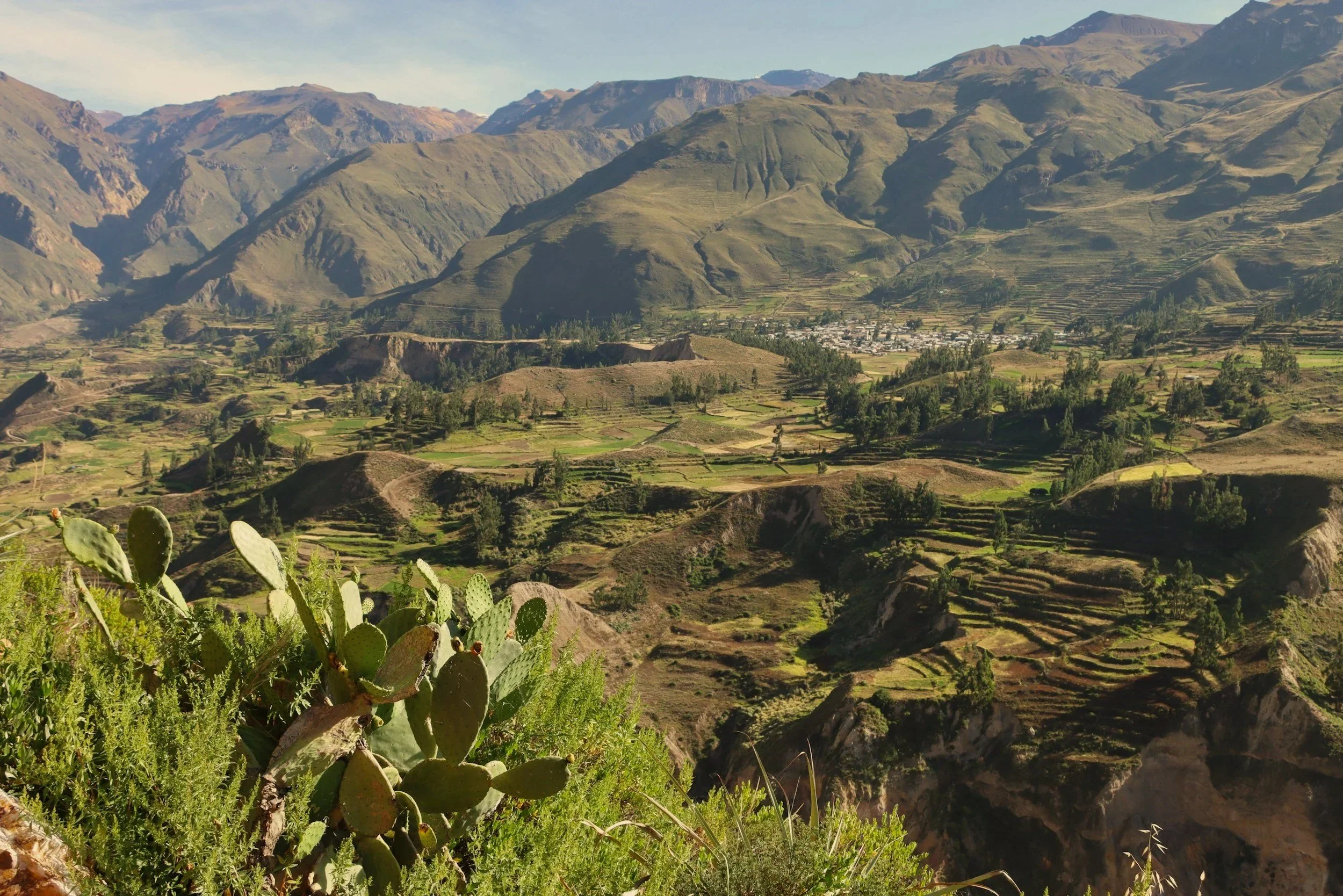 Green farming terraces and a small village in the Colca Valley, surrounded by sweeping Andean mountains.