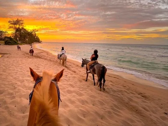 Horseback riders on the sand along Oahu's North Shore with the Pacific beyond
