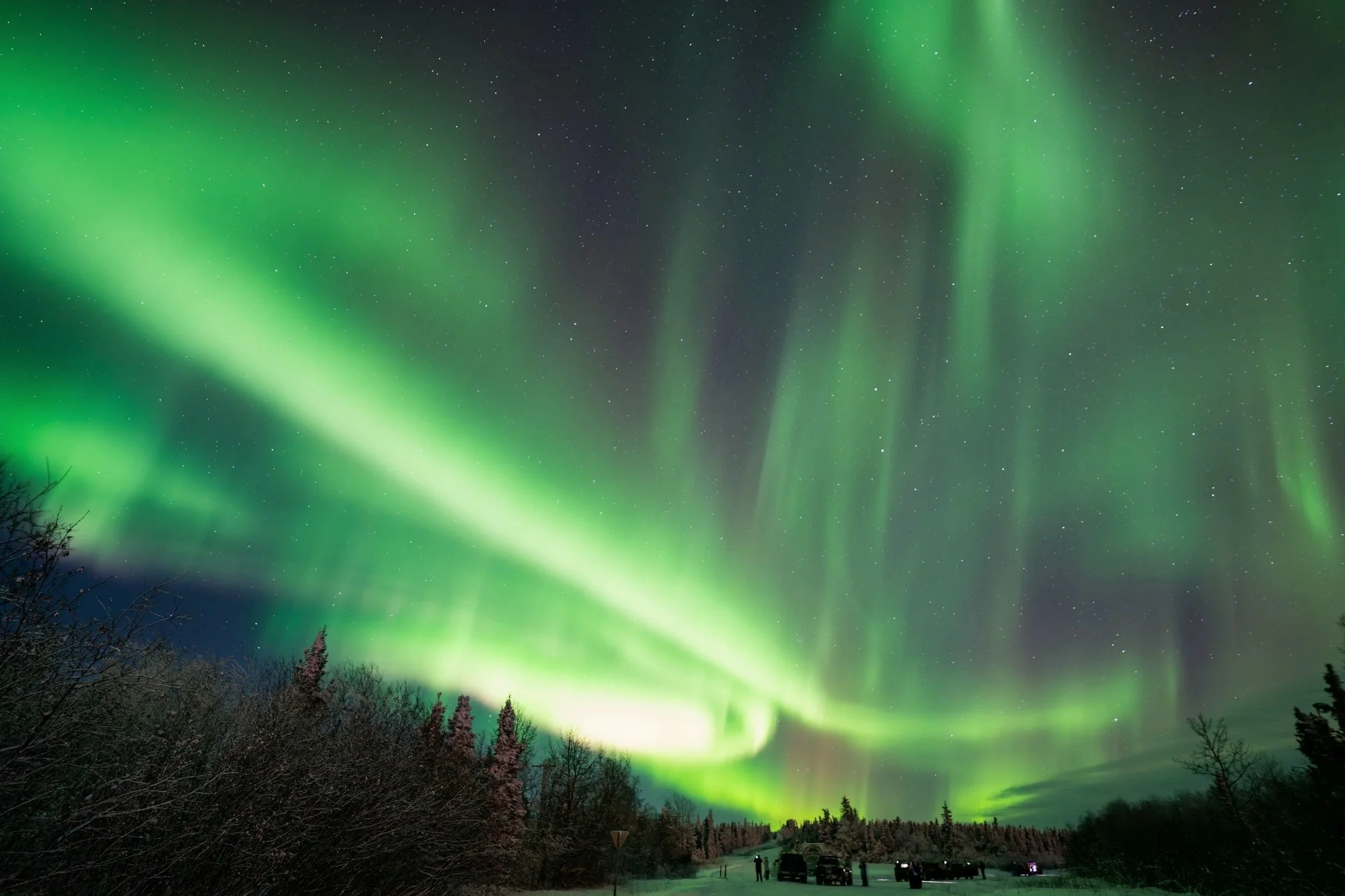 Green northern lights dancing over the boreal forest near Fairbanks, Alaska