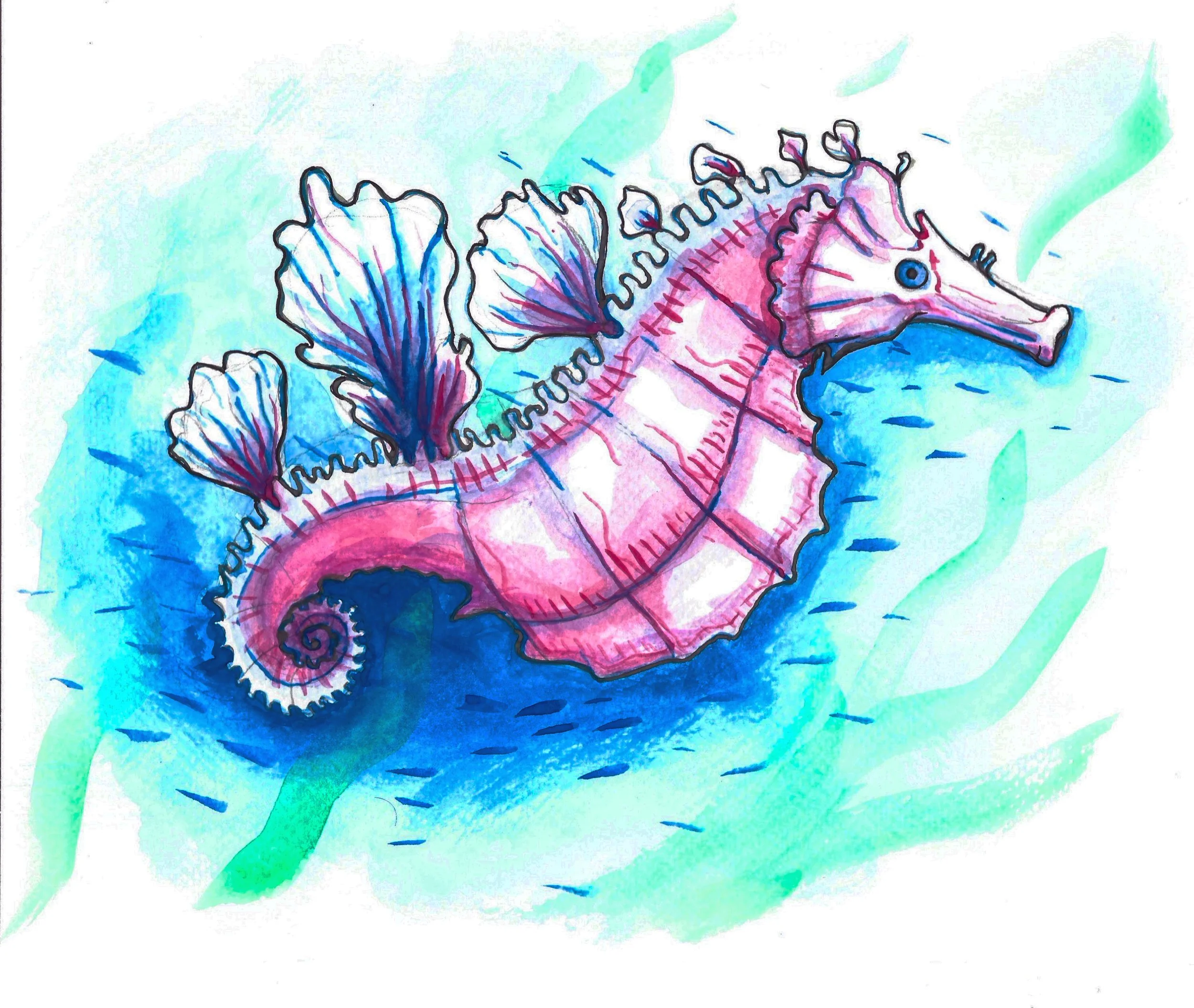 TranSeahorse