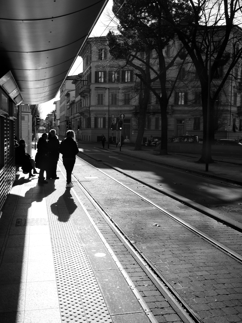 Street scene in black and white with a sidewalk, tram tracks, people waiting and walking, trees, and historic buildings in the background.