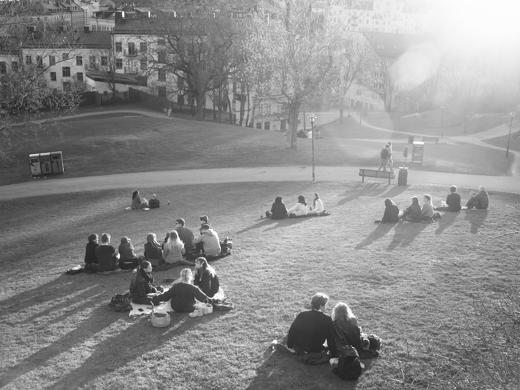 People sitting in groups on the grass in a park with trees, benches, and pathways, city buildings in the background, and sunlight creating shadows.
