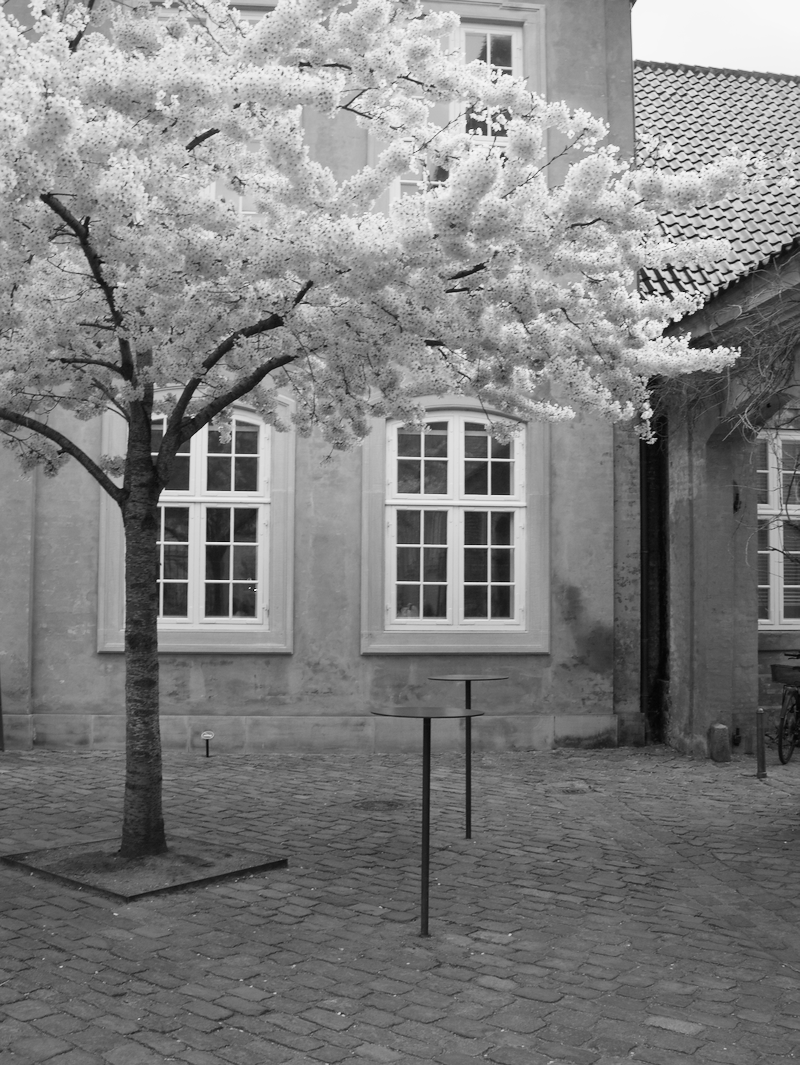 A black and white photo of a street scene with a blooming tree, a building with large windows, and two small round tables in the foreground.