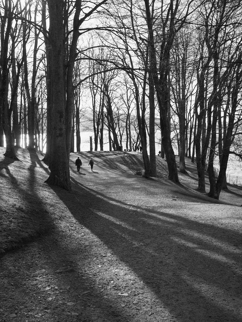 Black and white photo of a wooded area with a dirt path, tall leafless trees casting long shadows on the ground, and three people walking along the path near a body of water.