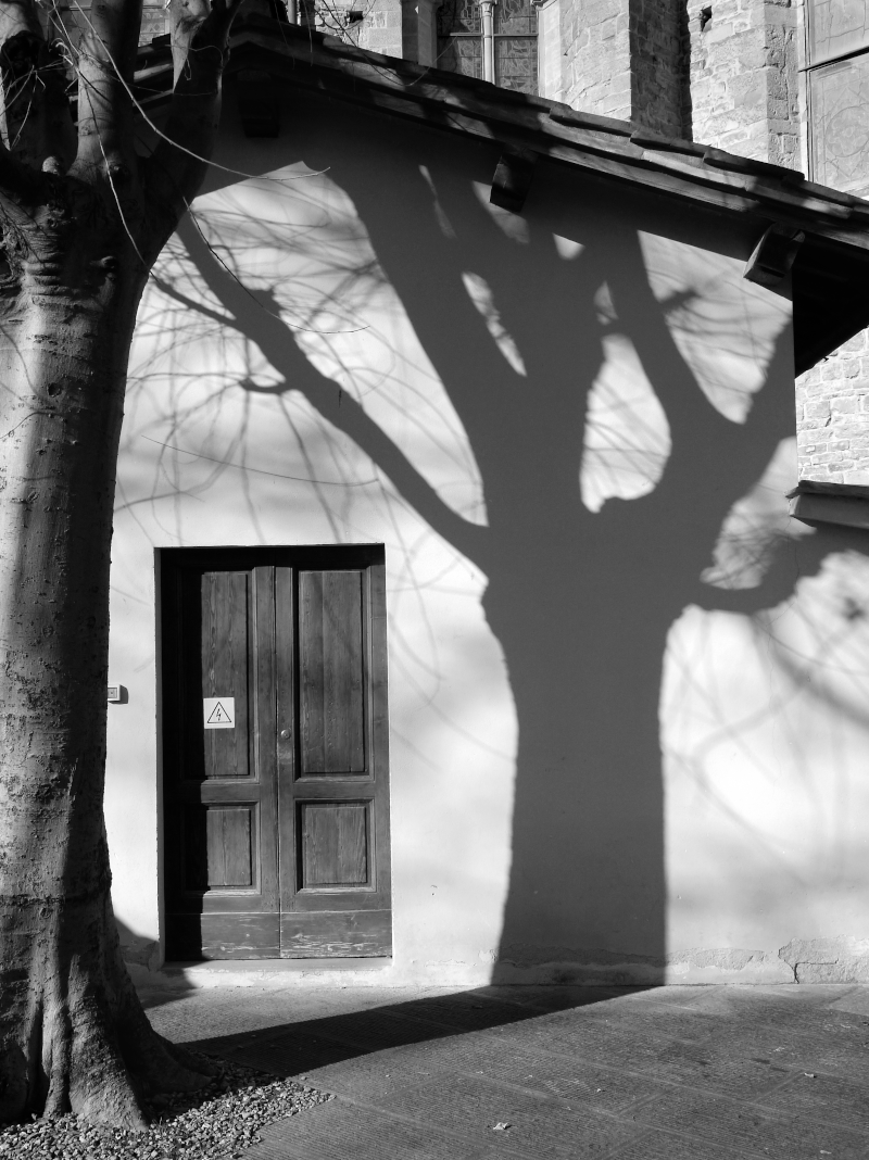 Black and white photo of a wooden door with a warning sticker, a large tree casting shadows on a white wall, and part of a roof with tiles.