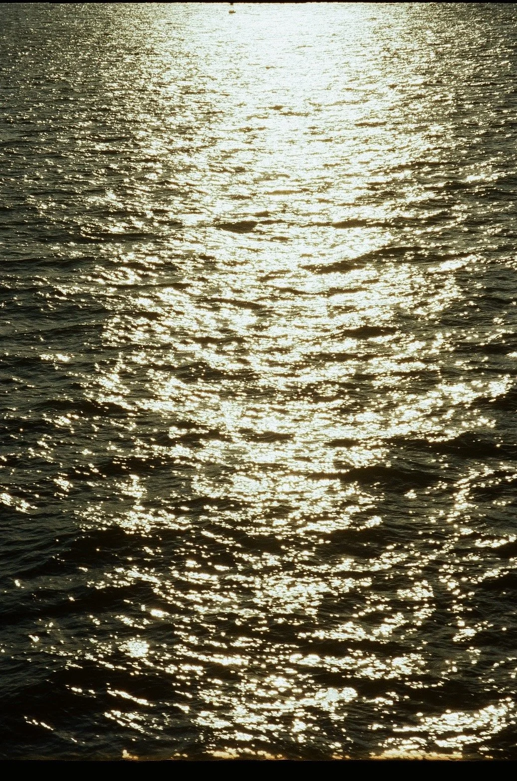 35mm film photograph of the hudson river in new york city