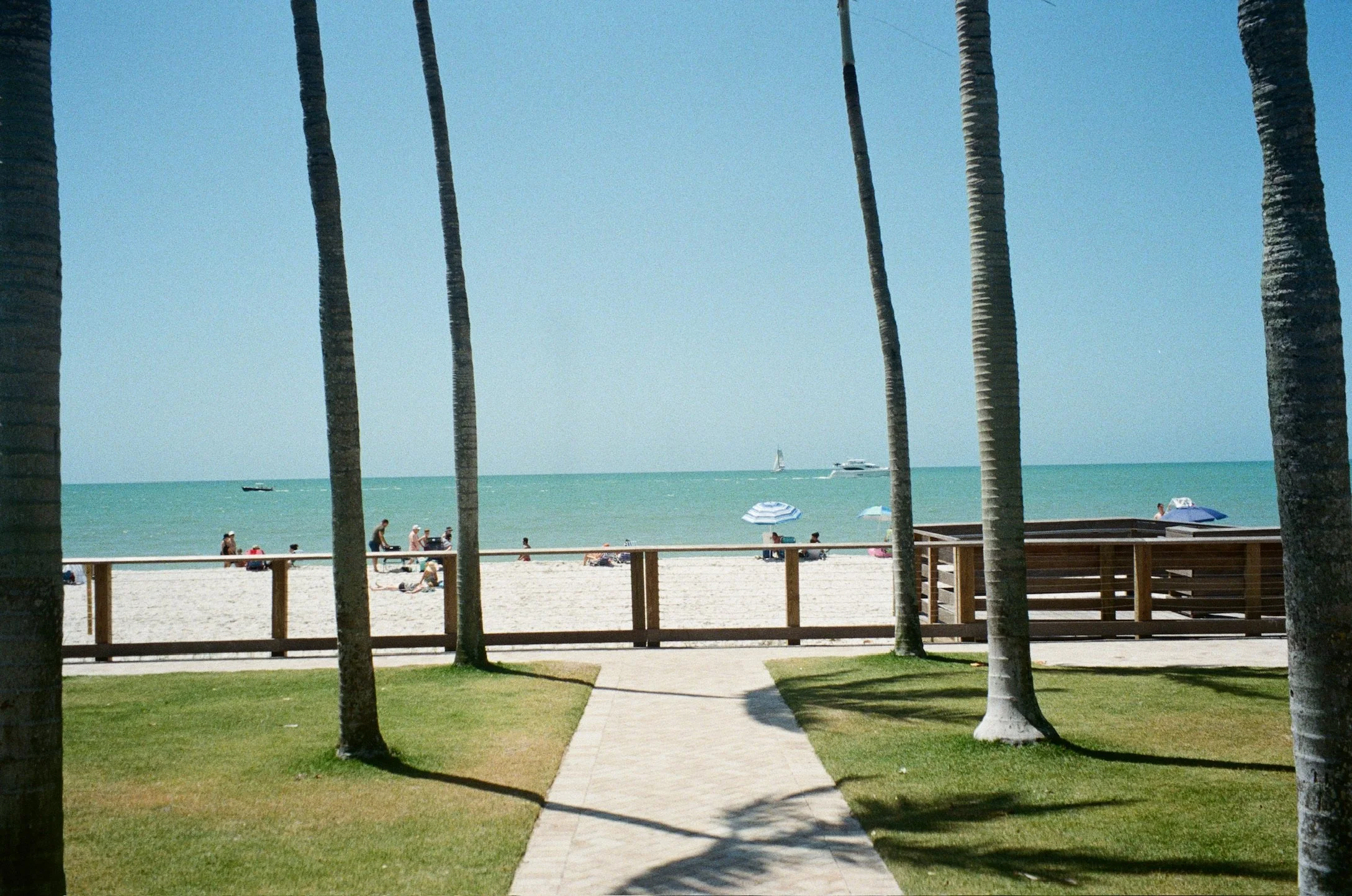 View of a beach with several people, umbrellas, and boats in the water, framed by palm trees and a grassy walkway.