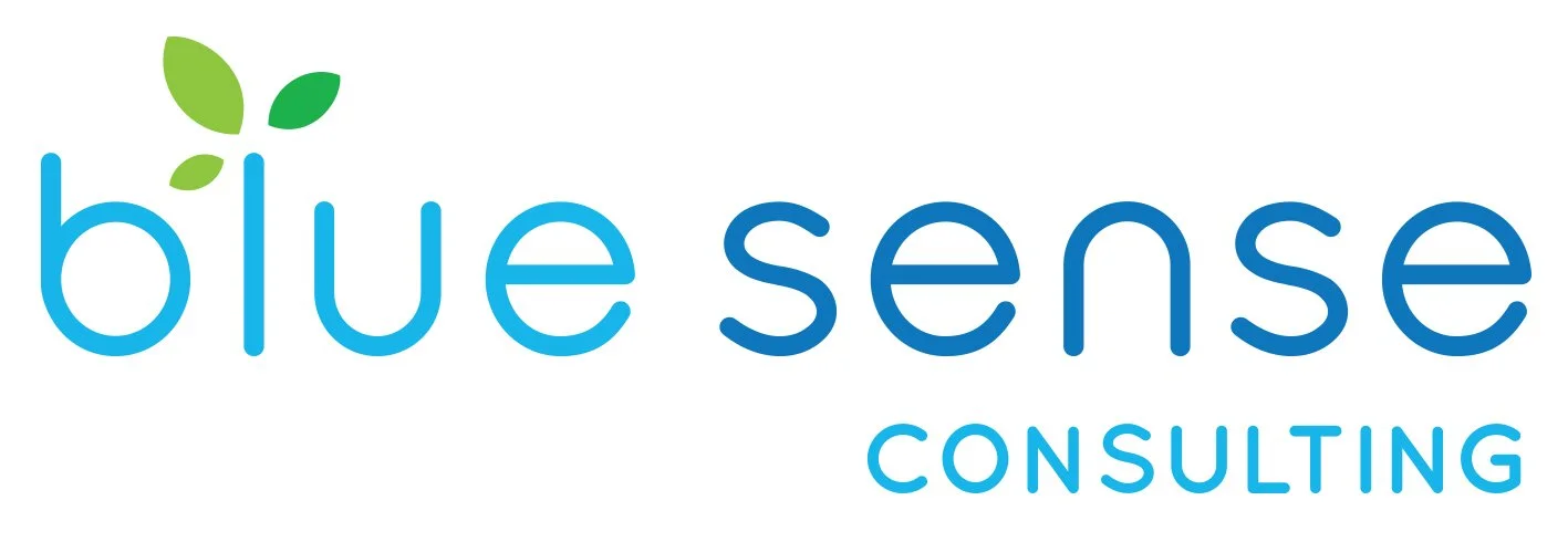 Blue Sense Consulting 
