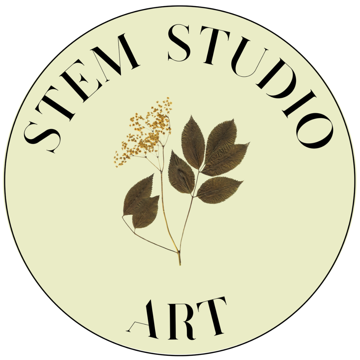 Stem Studio Art