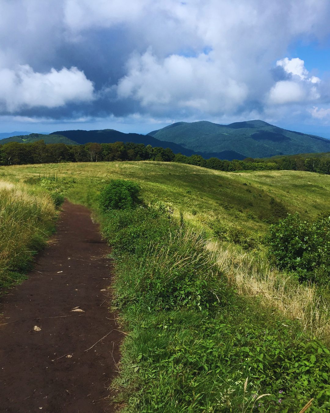 Trail at Max Patch - view of the vista on the Appalachian Trail