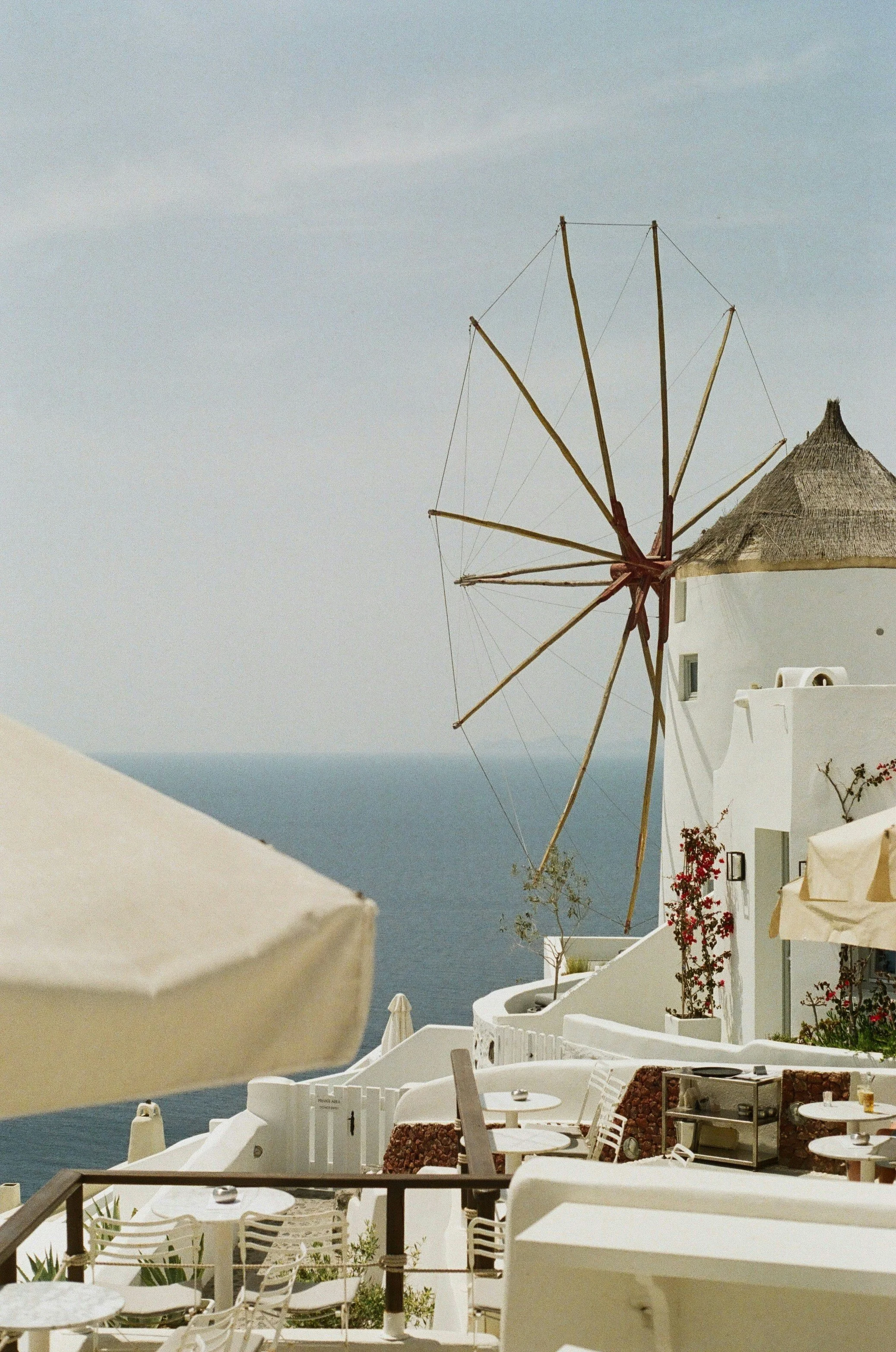The image depicts a white building with a traditional Greek windmill on the roof, overlooking the ocean. The scene includes outdoor seating with tables and chairs, potted plants with red flowers, and parasols, all characteristic of a seaside cafe or restaurant in a Mediterranean setting.
