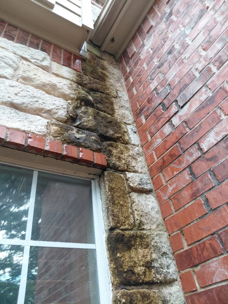 Severe Algae in a shaded alcove, on soft stone that cannot be safely pressure washed.