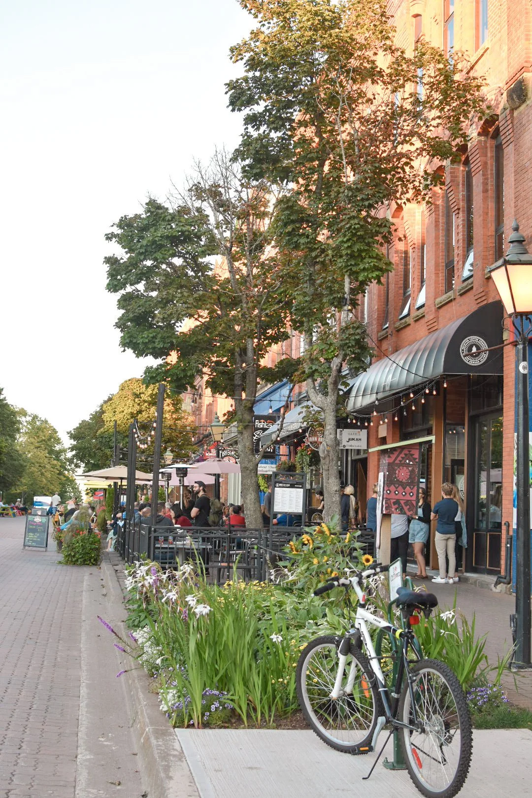 Street scene with trees, a row of shops and restaurants with outdoor seating, people sitting and walking, a bicycle parked on the sidewalk, and a landscaped flower bed with yellow, white, and purple flowers.