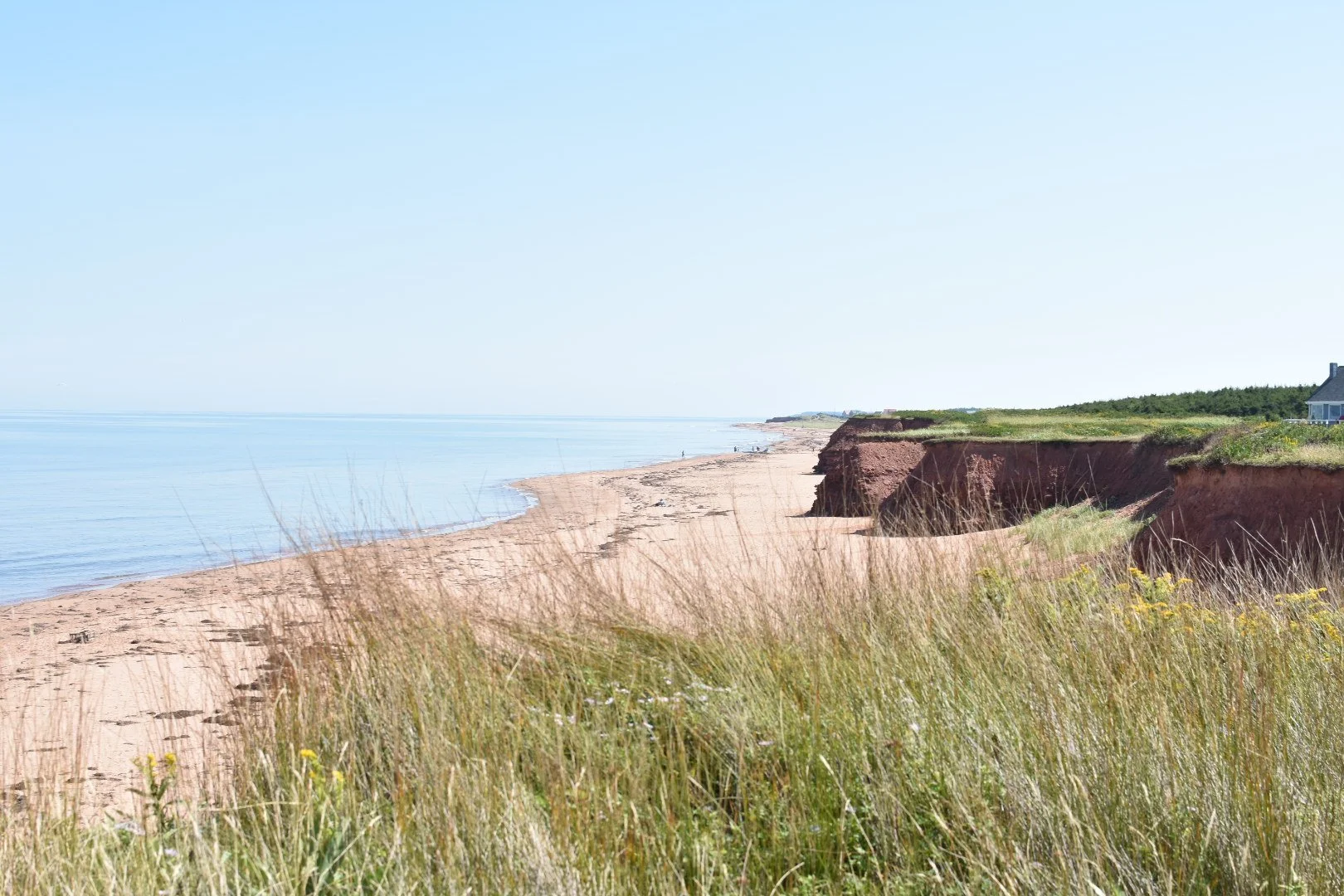 A sandy beach with tall grasses in the foreground, red cliffs on the right, and calm blue ocean waters extending to the horizon on a clear day.