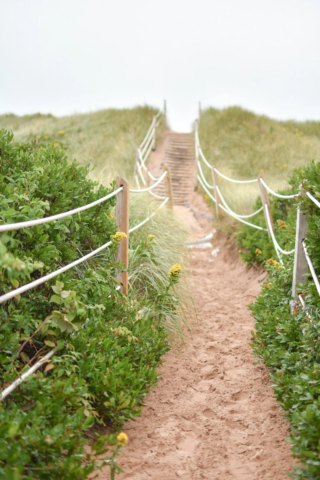 A sandy footpath leading up a grassy hill, bordered by green shrubbery and white rope fencing on both sides, with wooden posts, under an overcast sky.